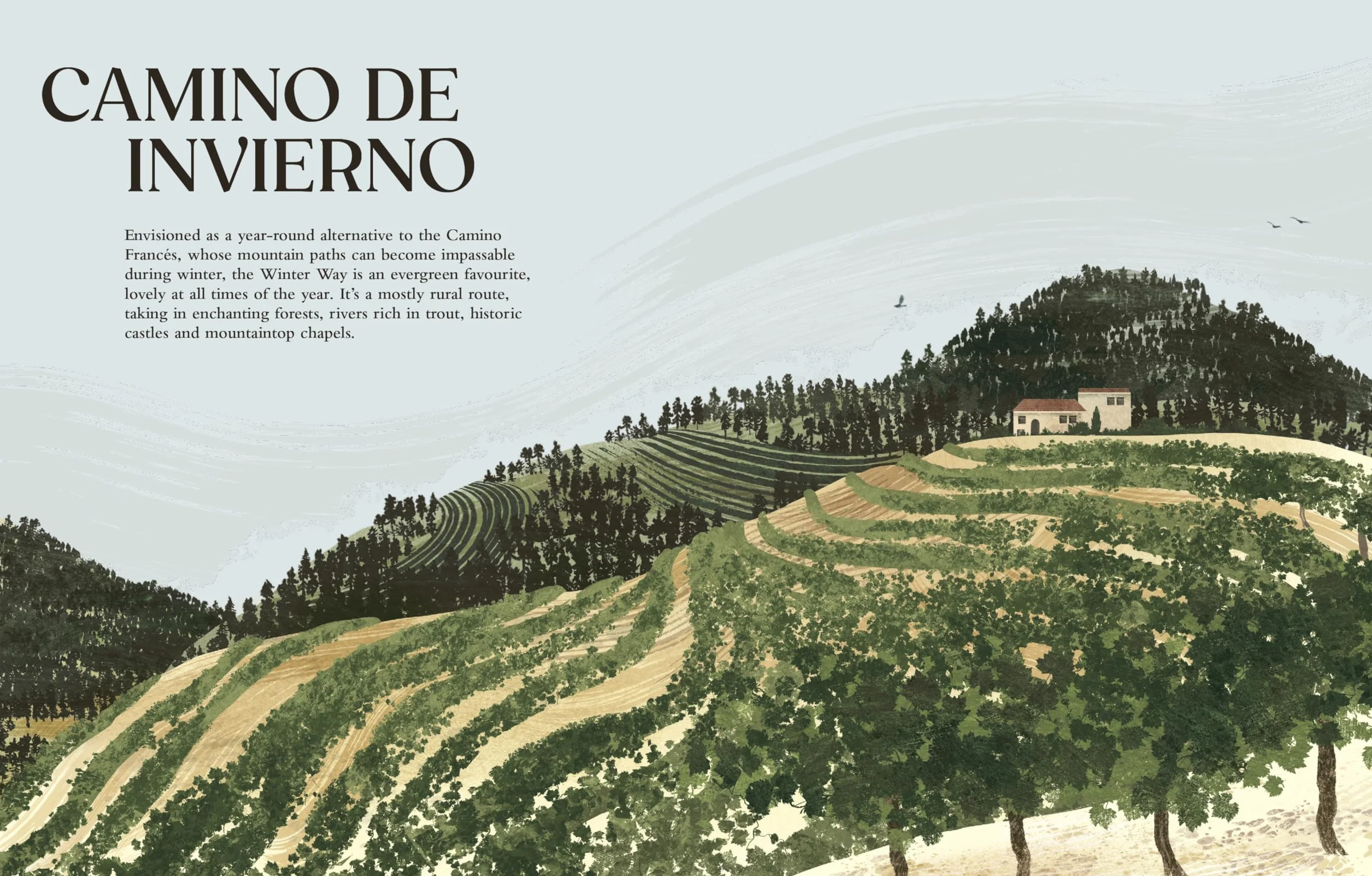 Walking the Camino de Santiago: Find your path on the Way of St James