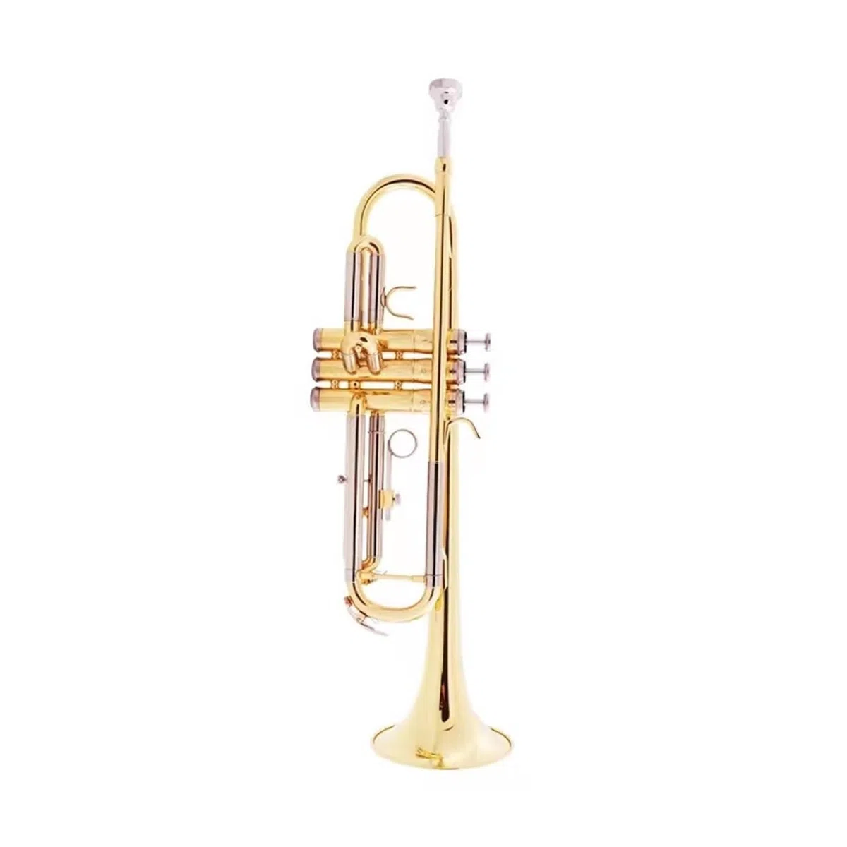 trąbka instrument Nowa mosiężna trąbka B z płaskim paskiem dla początkujących