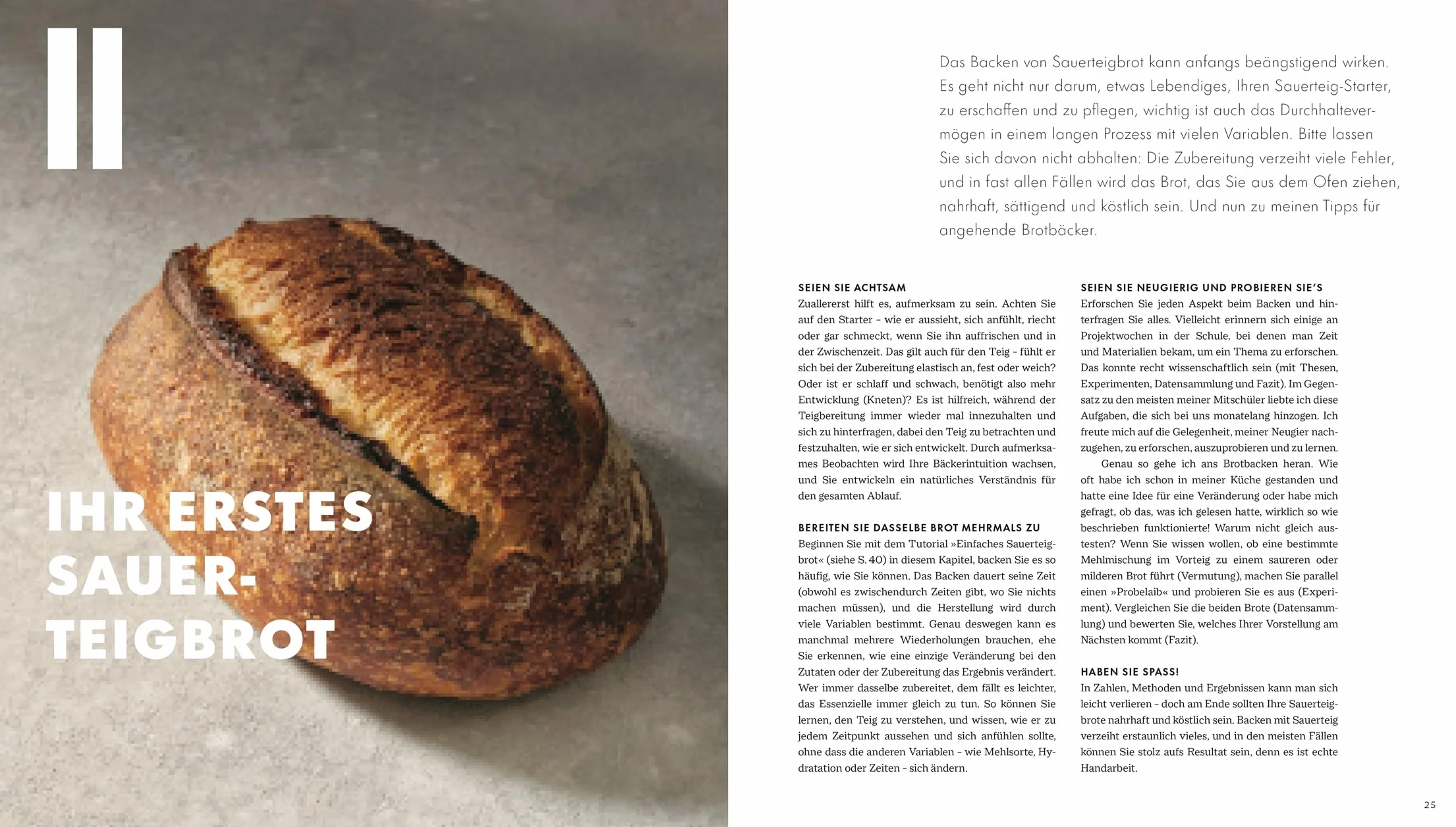 Das große Buch vom Sauerteig: Über 100 Rezepte und Anleitungen für Brote, Gebäck und Süßes. Mit Video-Tutorials zu Teigen und Techniken. Pizza, Brot, Bagels, Zimtschnecken u. v. m.