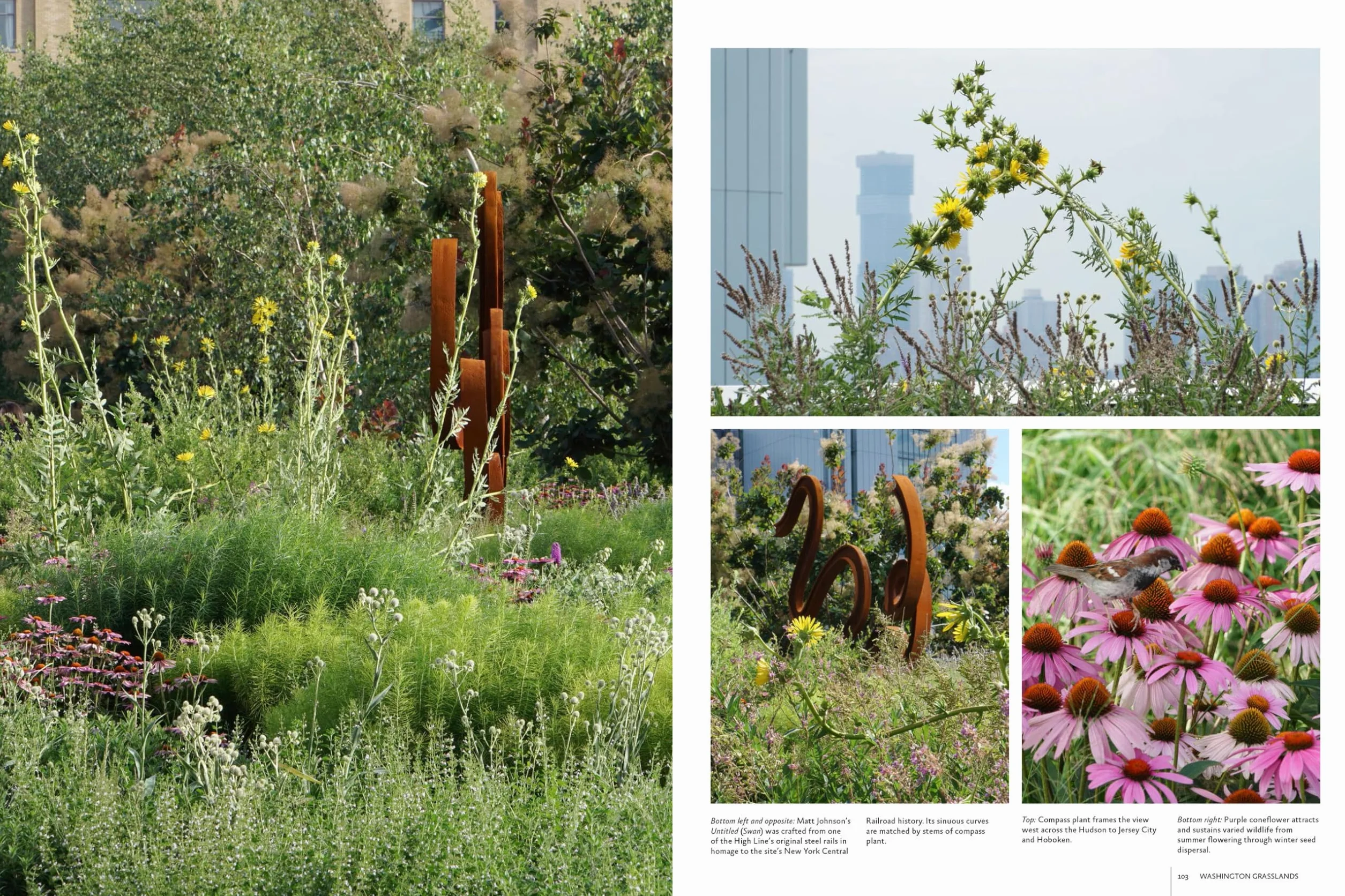 Gardens of the High Line: Elevating the Nature of Modern Landscapes