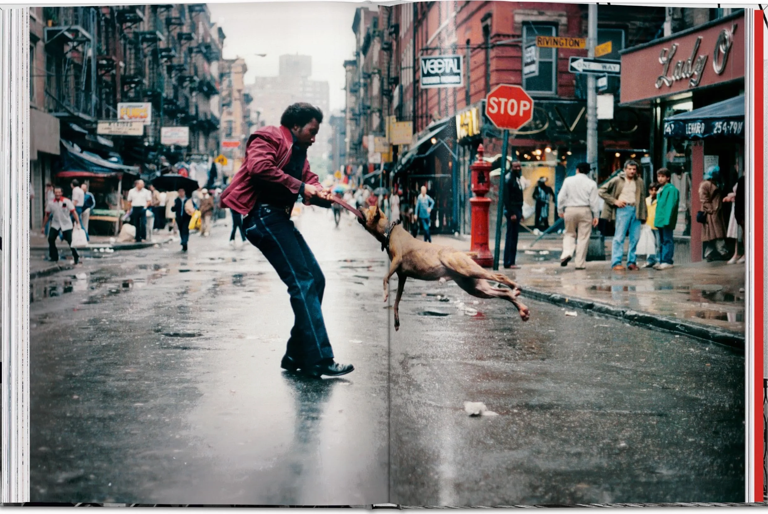 New York. Portrait of a City