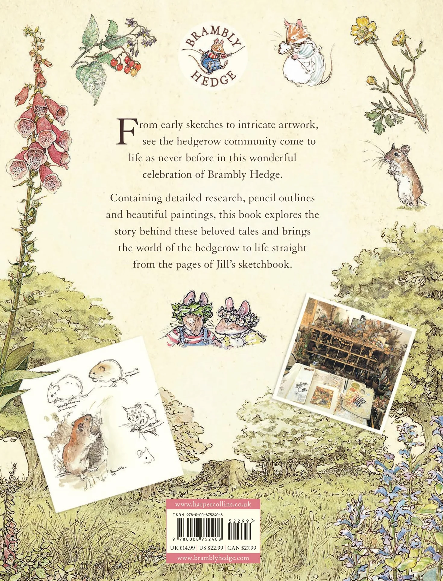 A Visit to Brambly Hedge: An illustrated companion to the world of Brambly Hedge, perfect for collectors and fans of Jill Barklem!