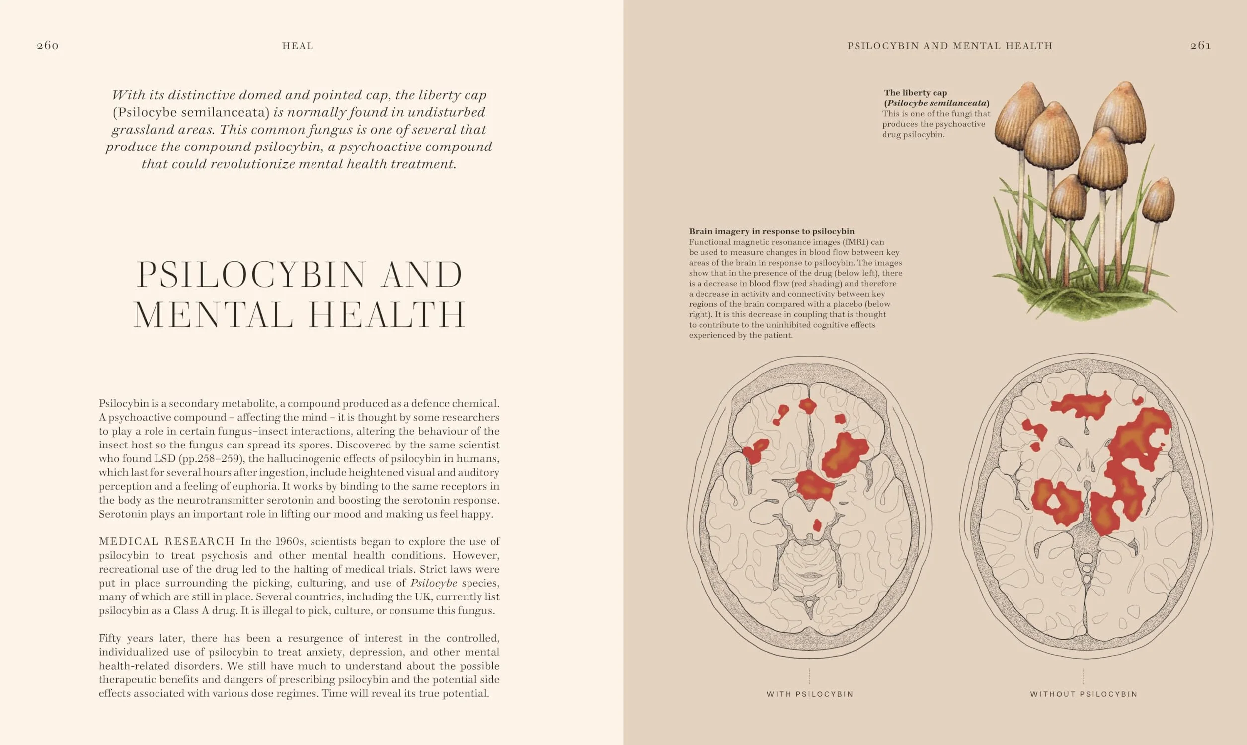 Fungi: Discover the Science and Secrets Behind the World of Mushrooms