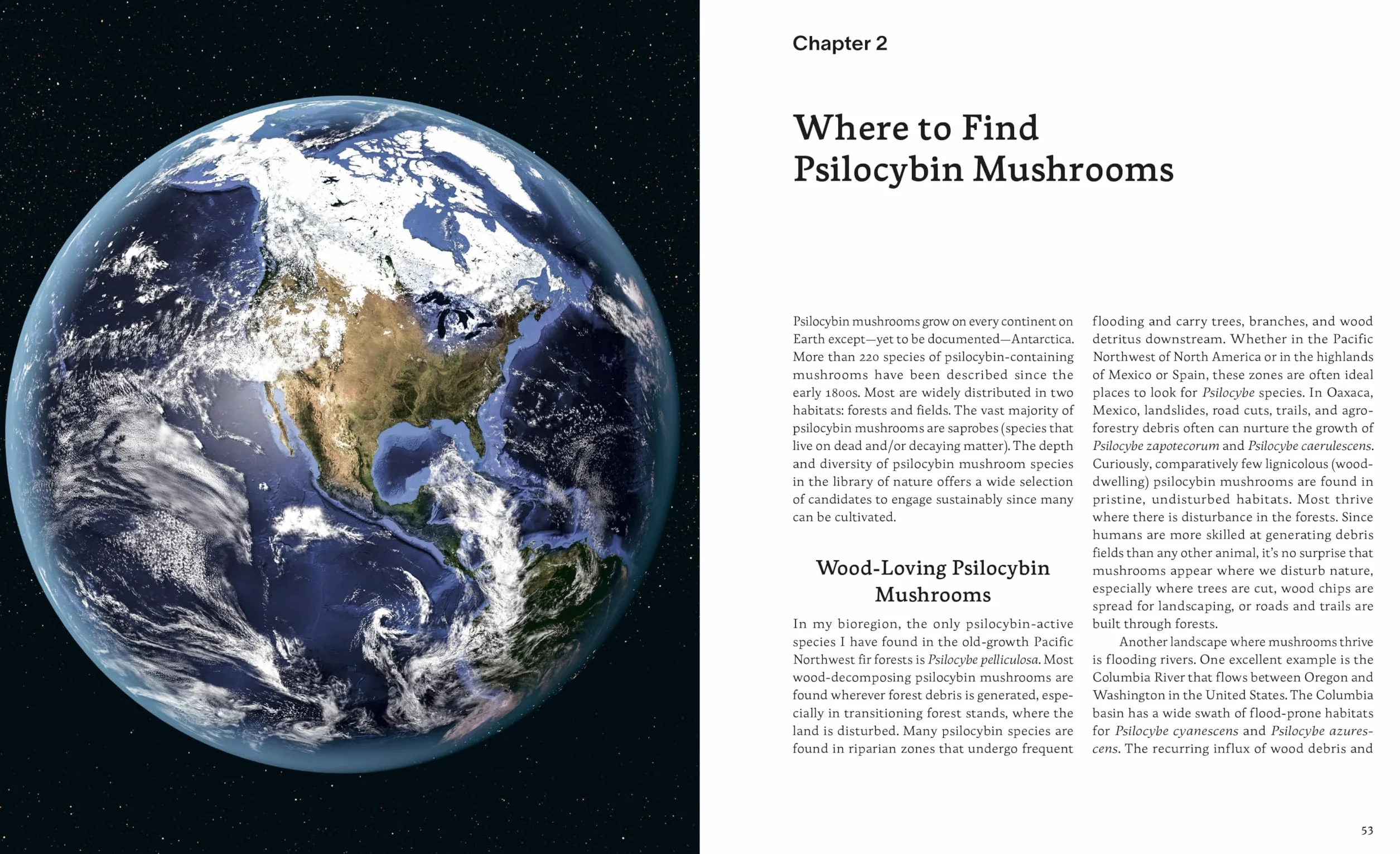 Psilocybin Mushrooms in Their Natural Habitats: A Guide to the History, Identification, and Use of Psychoactive Fungi