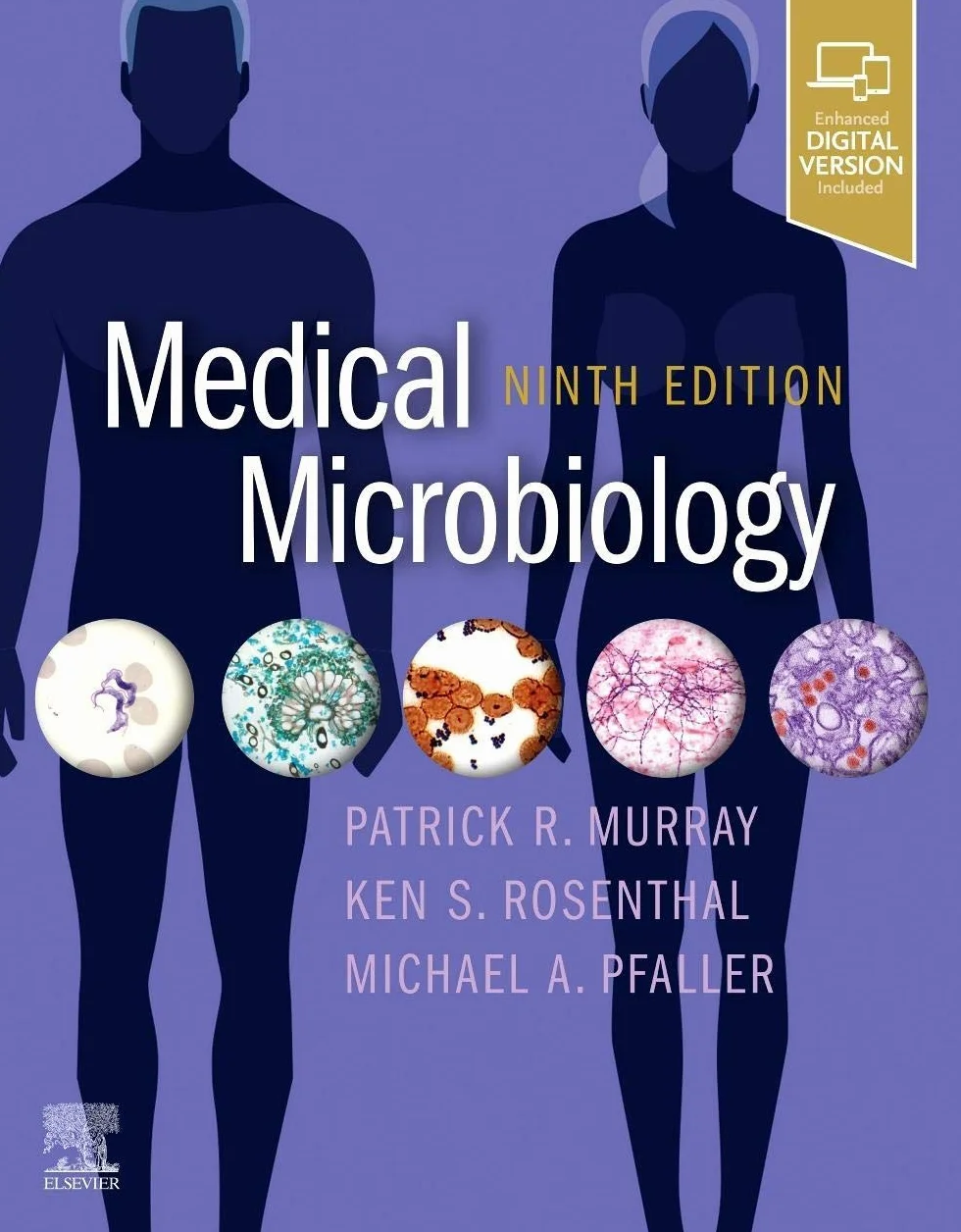 Medical Microbiology