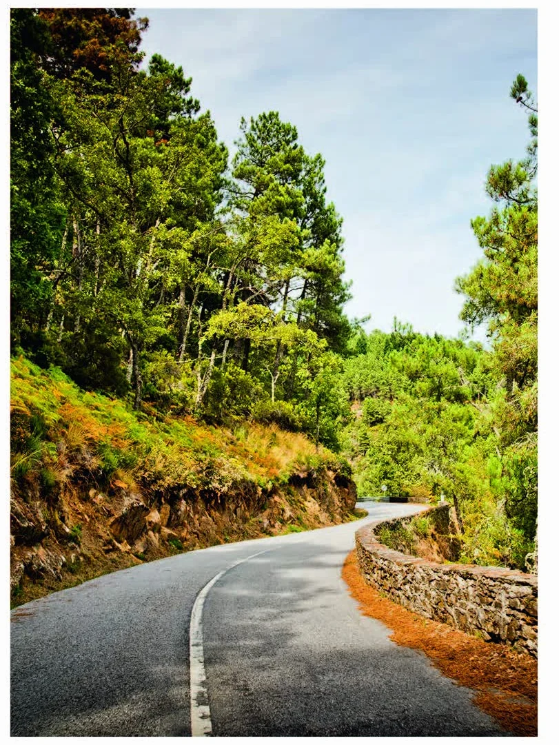 Curves: Portugal: Band 14