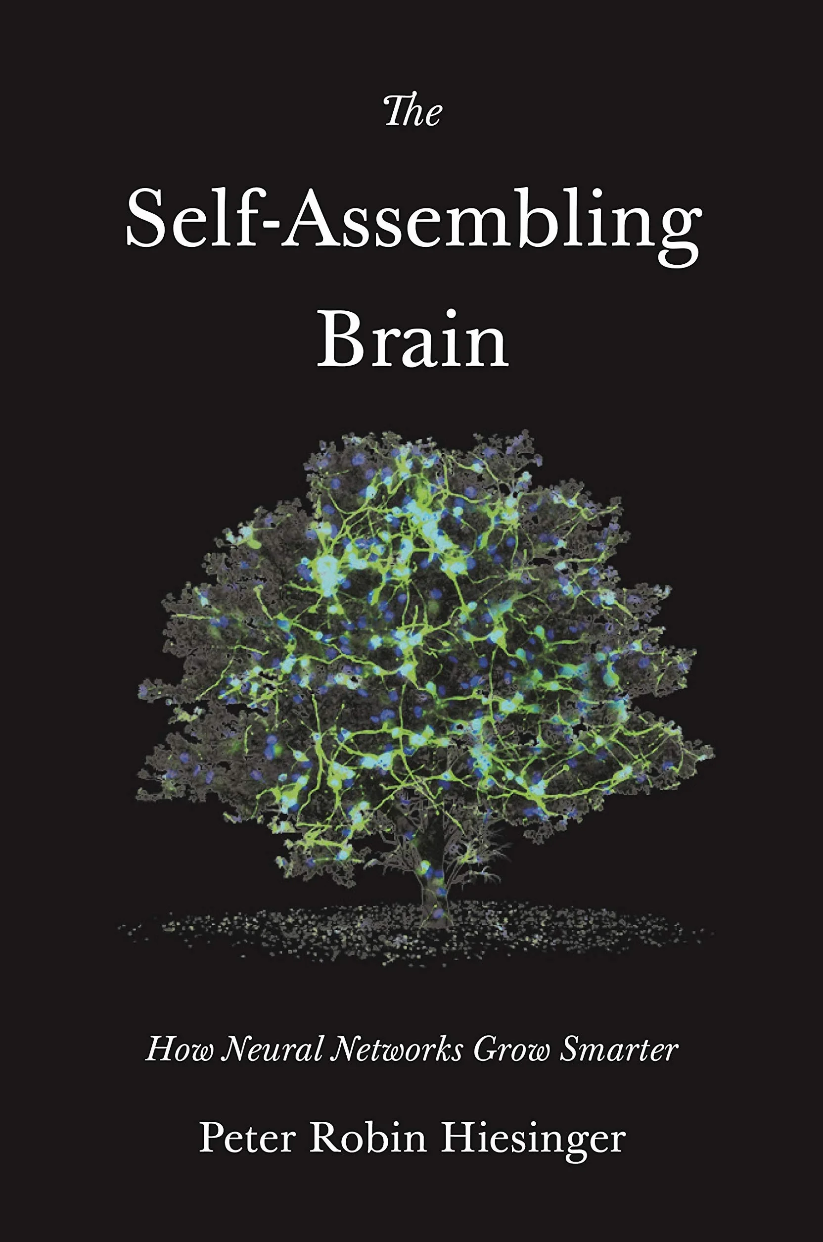The Self-Assembling Brain: How Neural Networks Grow Smarter