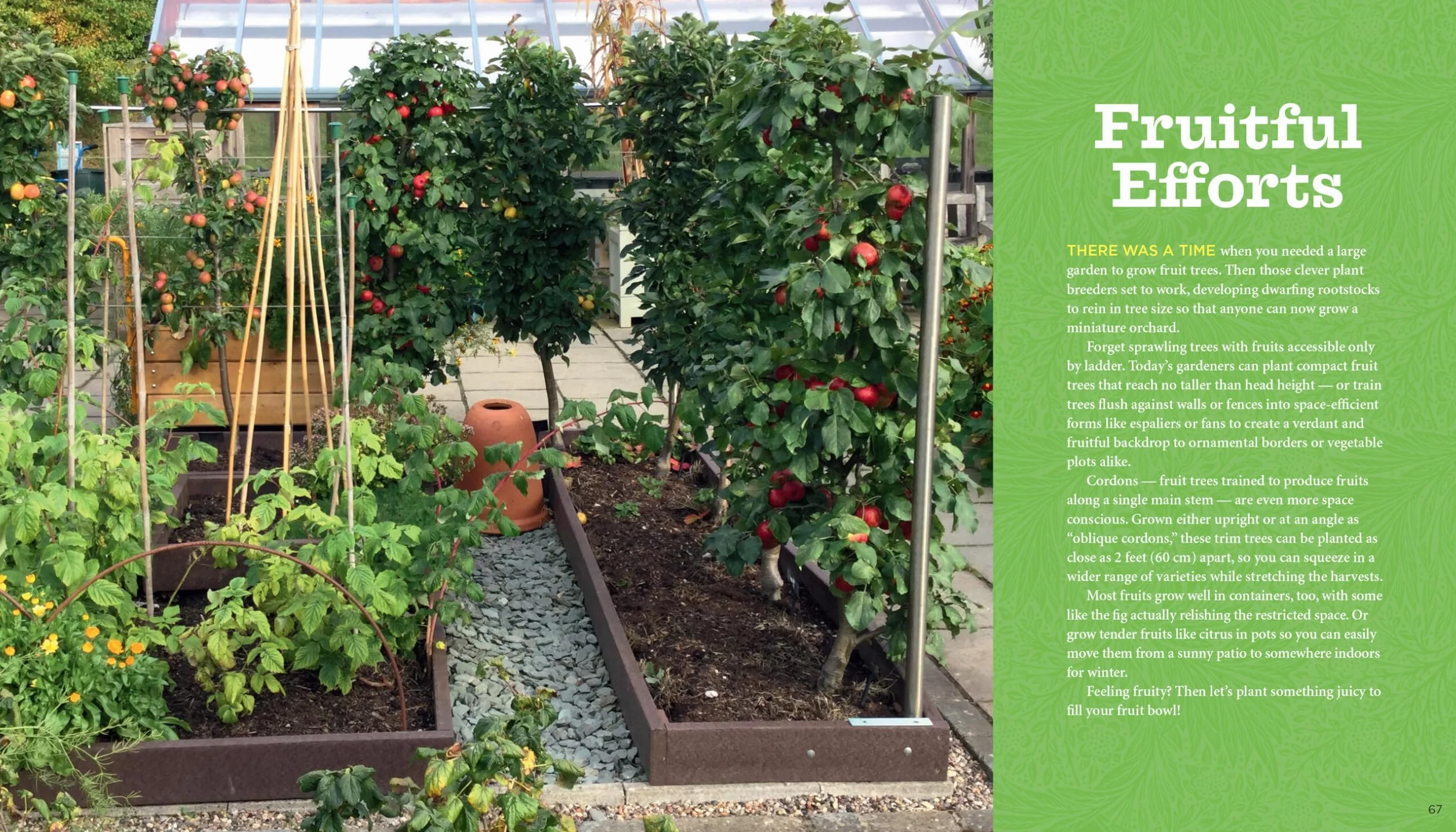 GrowVeg: The Beginner's Guide to Easy Vegetable Gardening