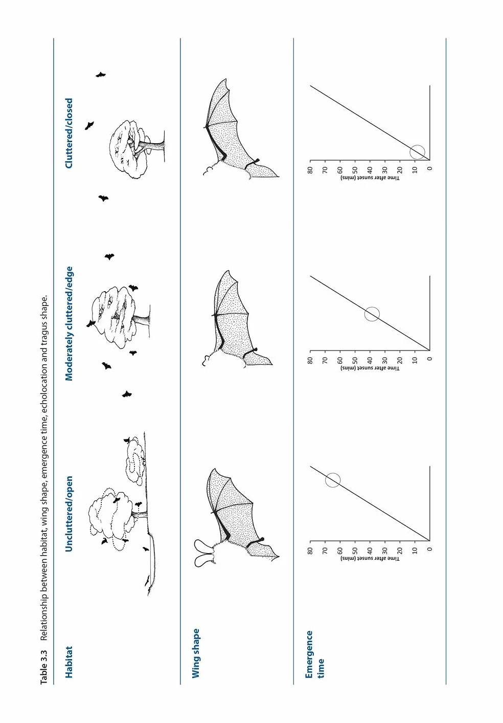 Bat Calls of Britain and Europe: A Guide to Species Identification