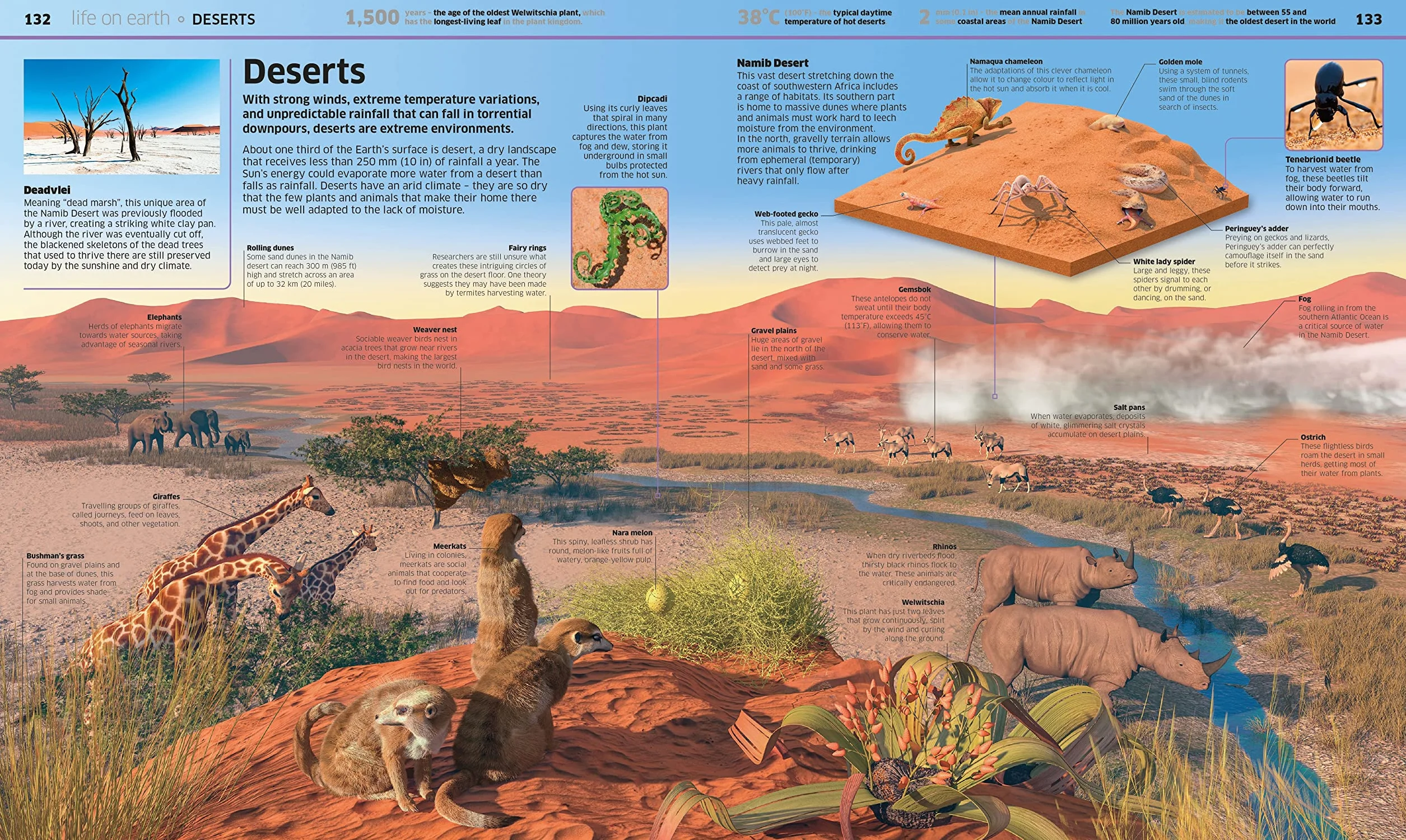Knowledge Encyclopedia Earth!: Our Exciting World As You've Never Seen It Before