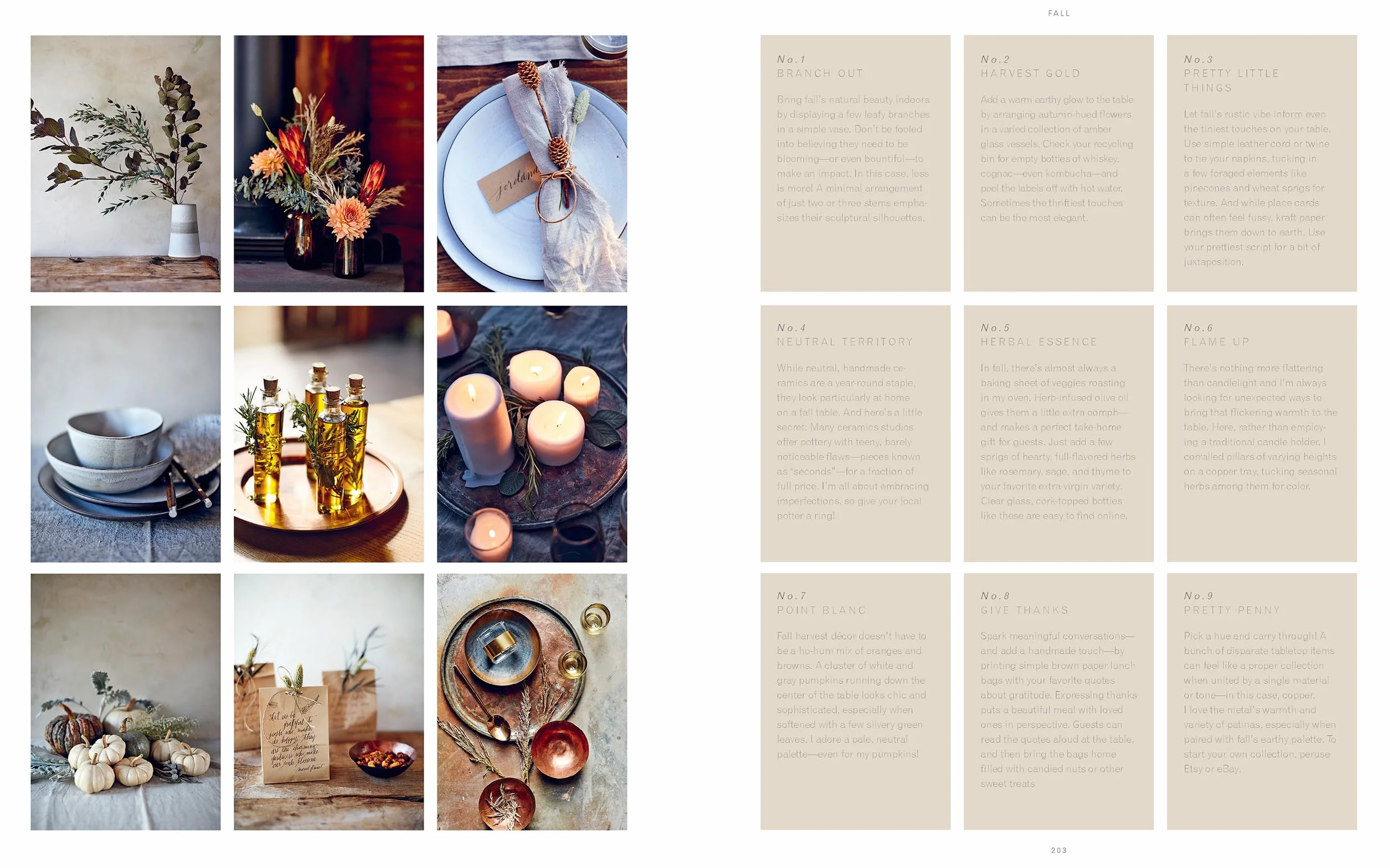 Cook Beautiful: Delicious Recipes and Exquisite Presentations