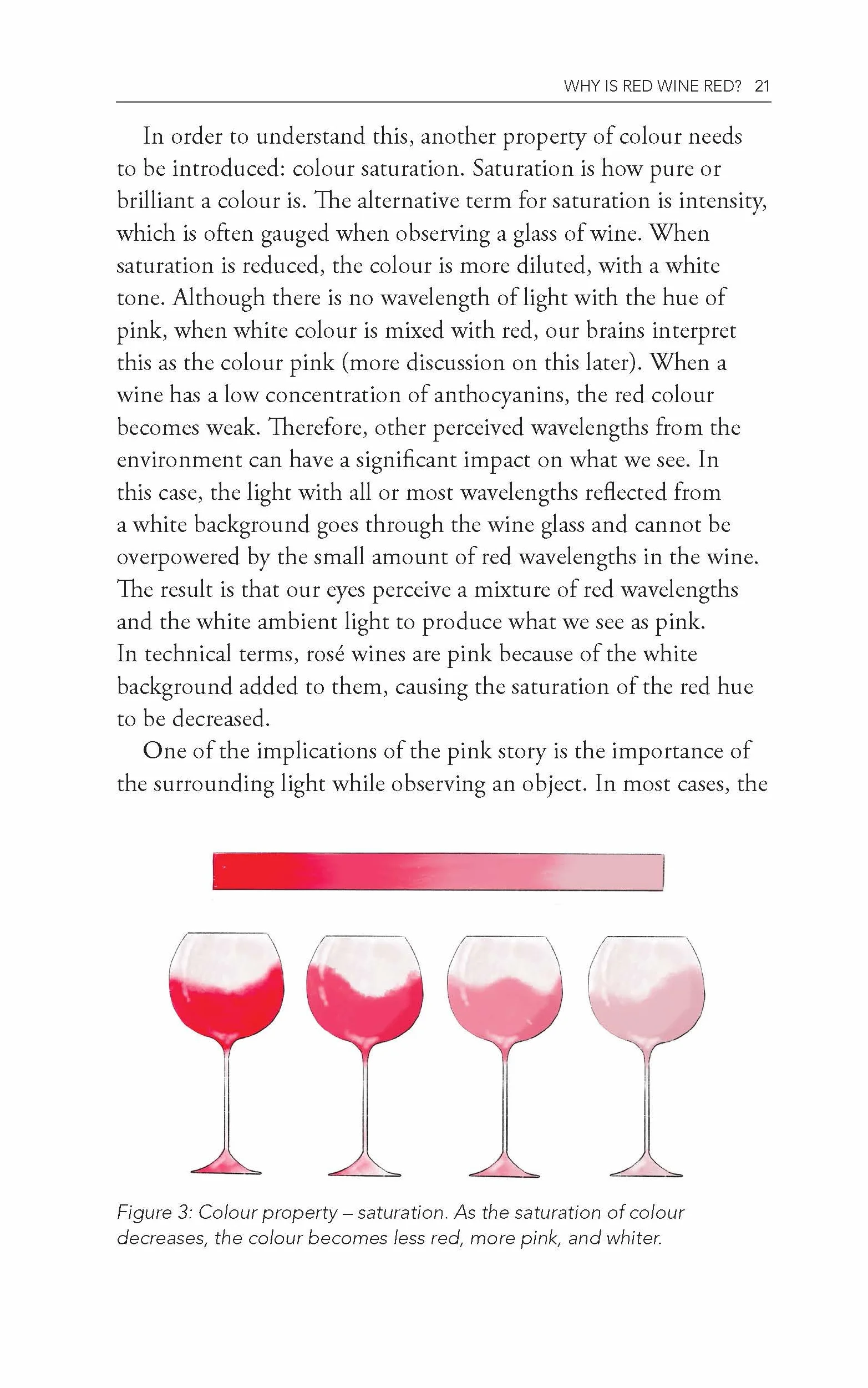 Behind the Glass: The Chemical and Sensorial Terroir of Wine Tasting