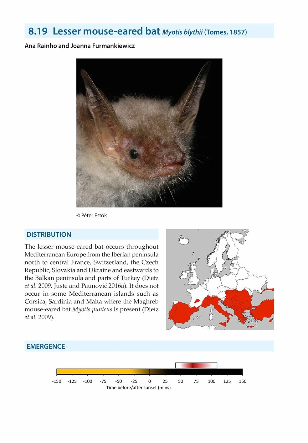 Bat Calls of Britain and Europe: A Guide to Species Identification