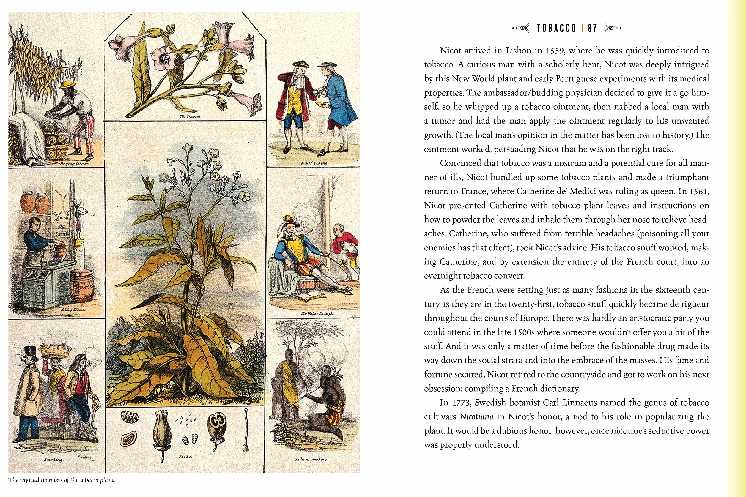 Quackery: A Brief History of the Worst Ways to Cure Everything: 1