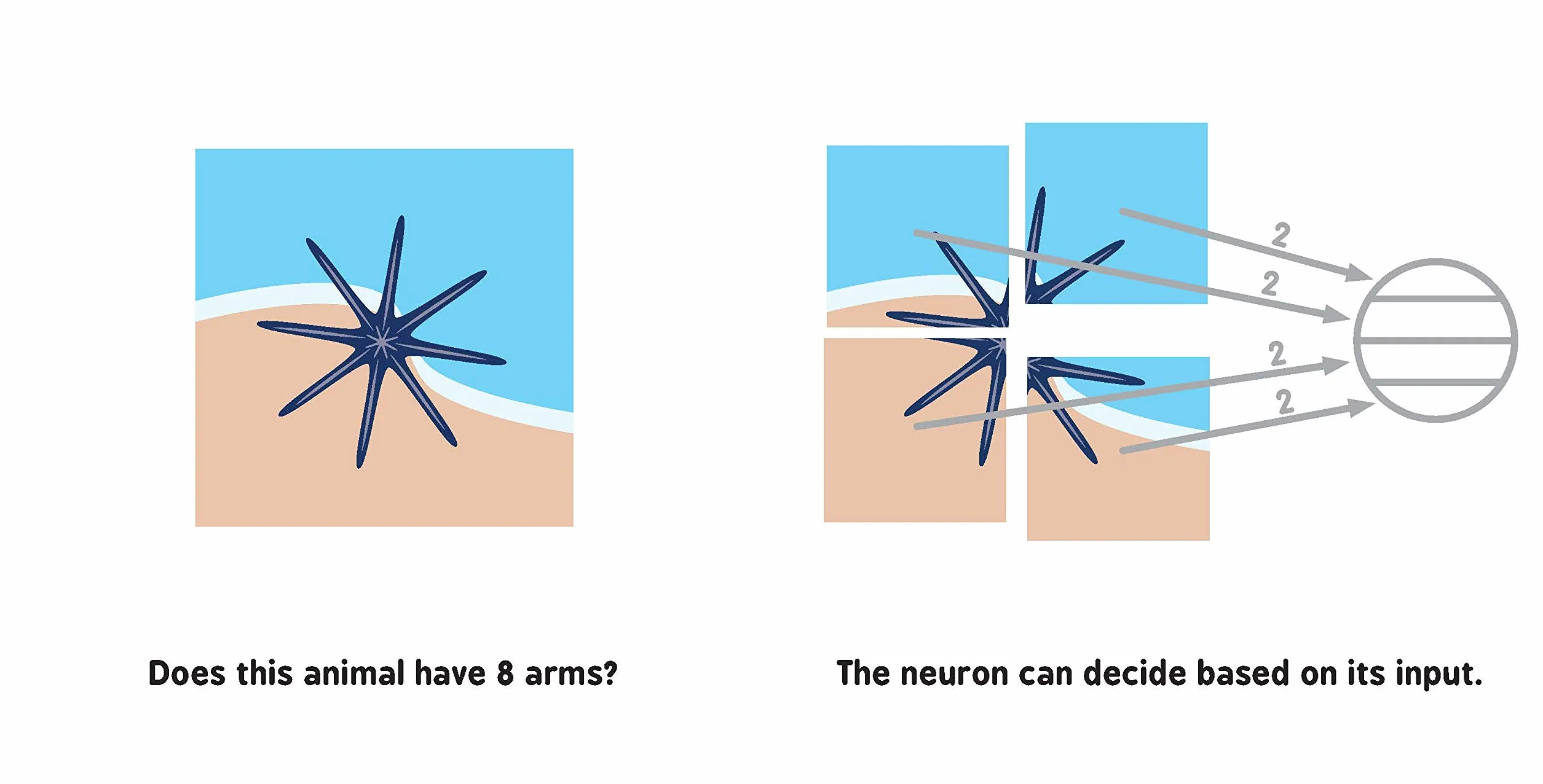 Neural Networks for Babies (Baby University)