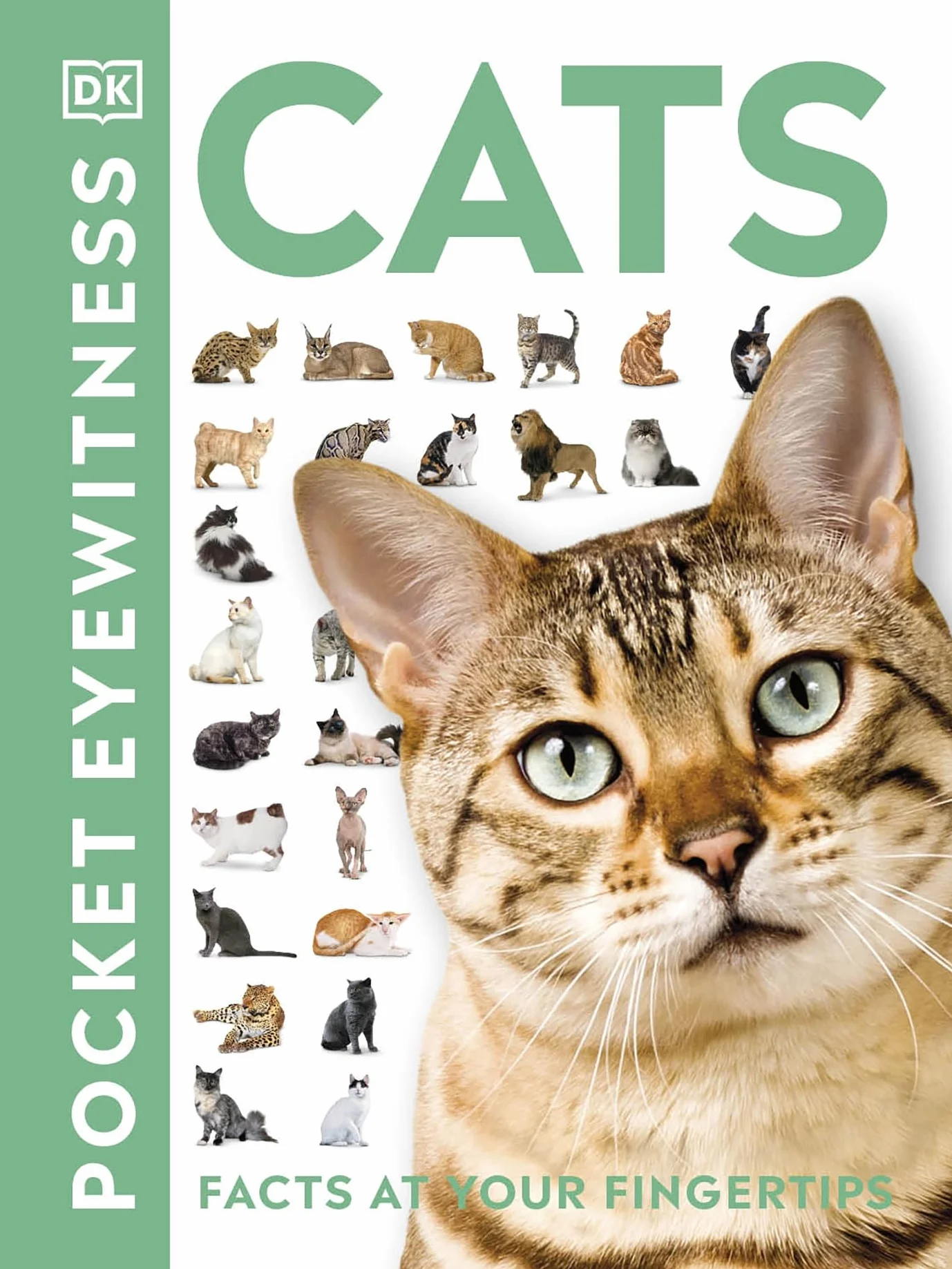 Cats: Facts at Your Fingertips (Pocket Eyewitness)