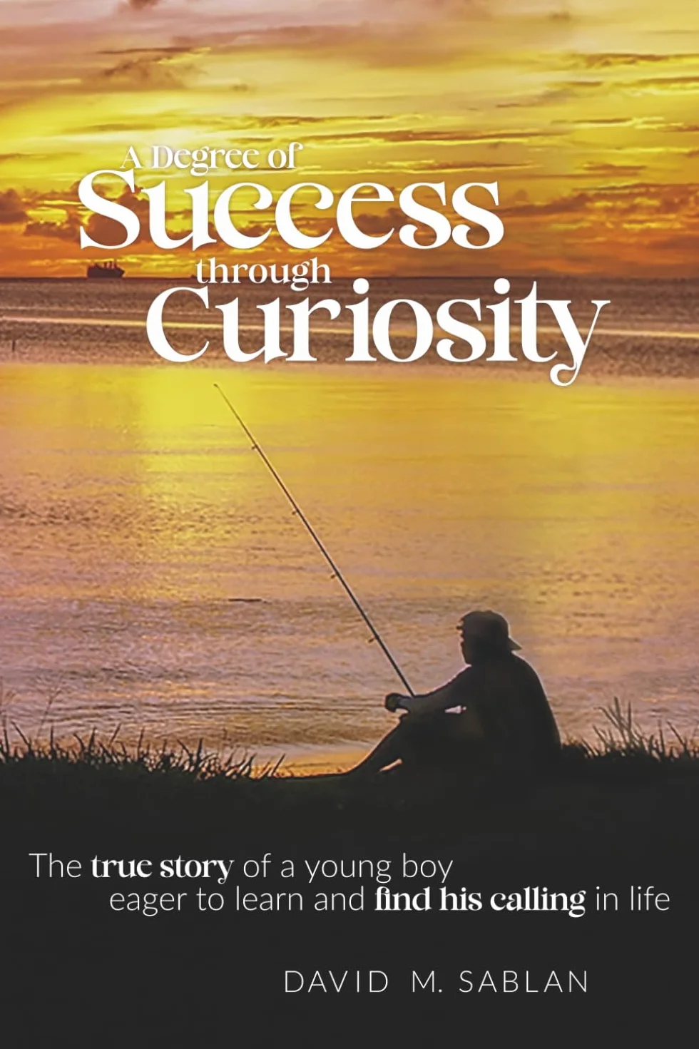 A Degree of Success through Curiosity: The true story of a young boy eager to learn and find his calling in life