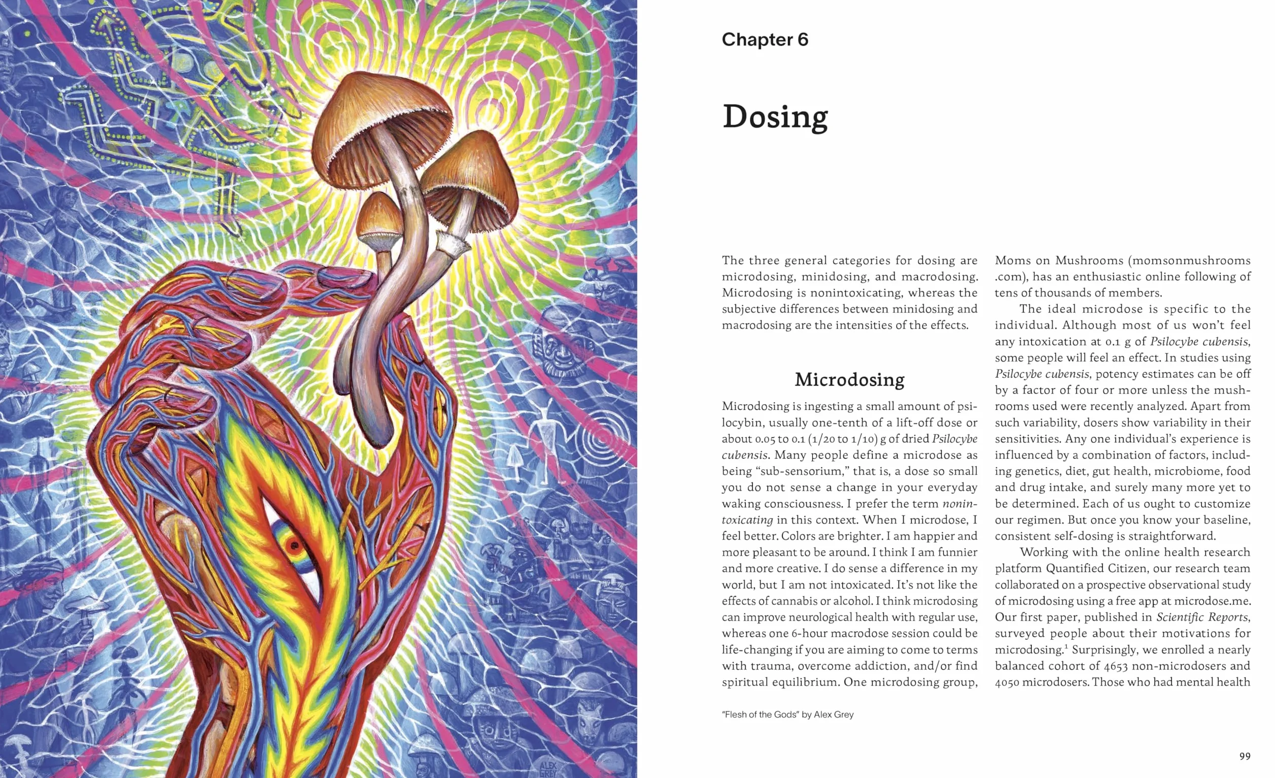 Psilocybin Mushrooms in Their Natural Habitats: A Guide to the History, Identification, and Use of Psychoactive Fungi
