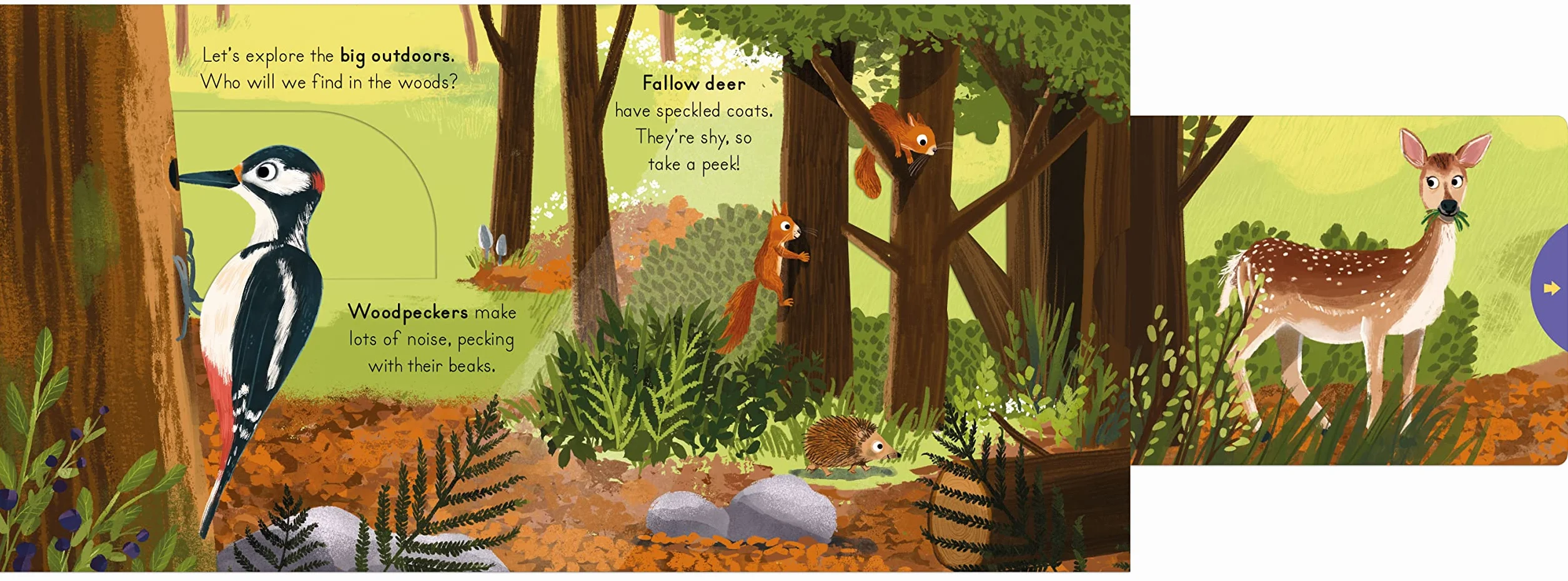 National Trust Big Outdoors for Little Explorers Woods