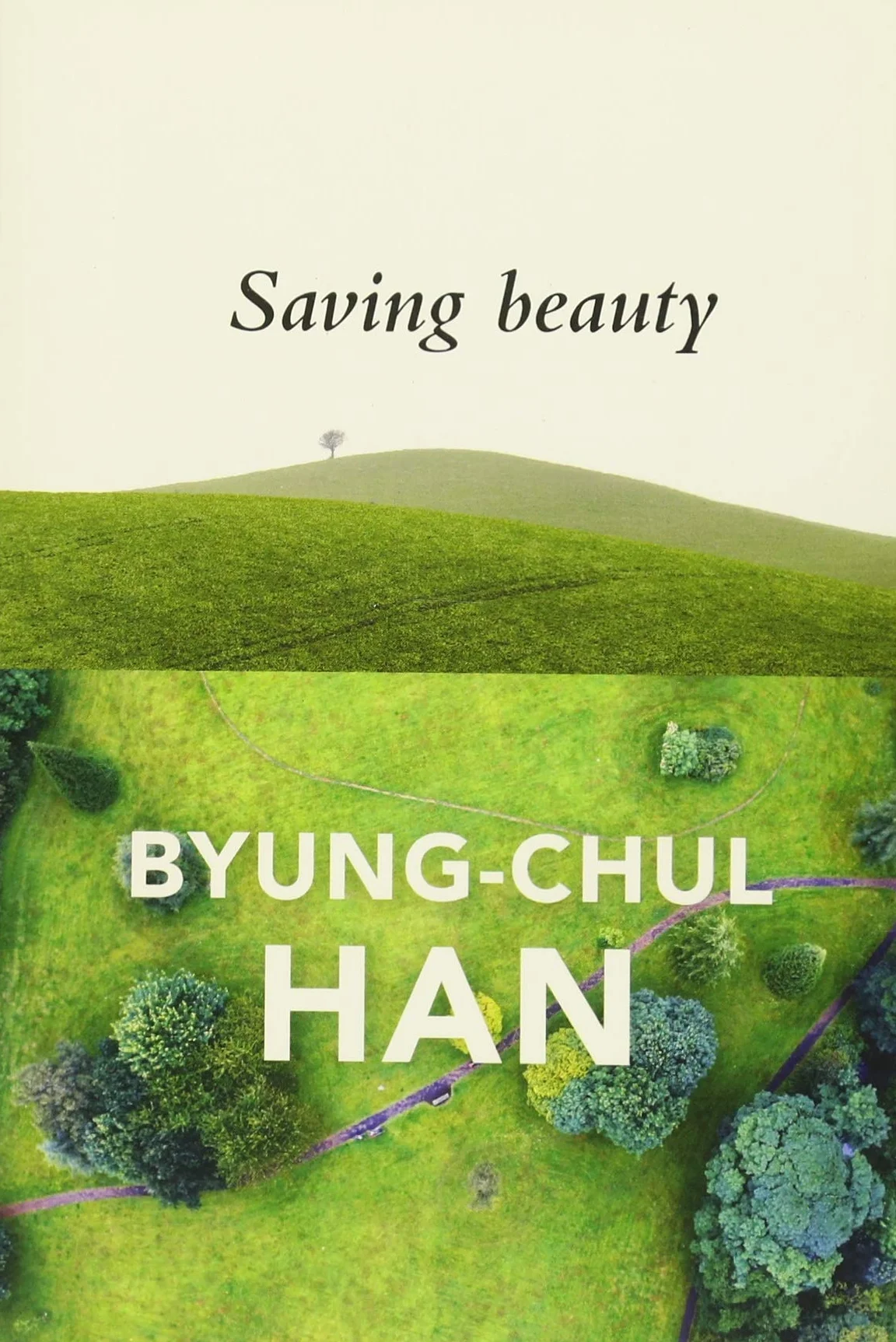 Saving Beauty