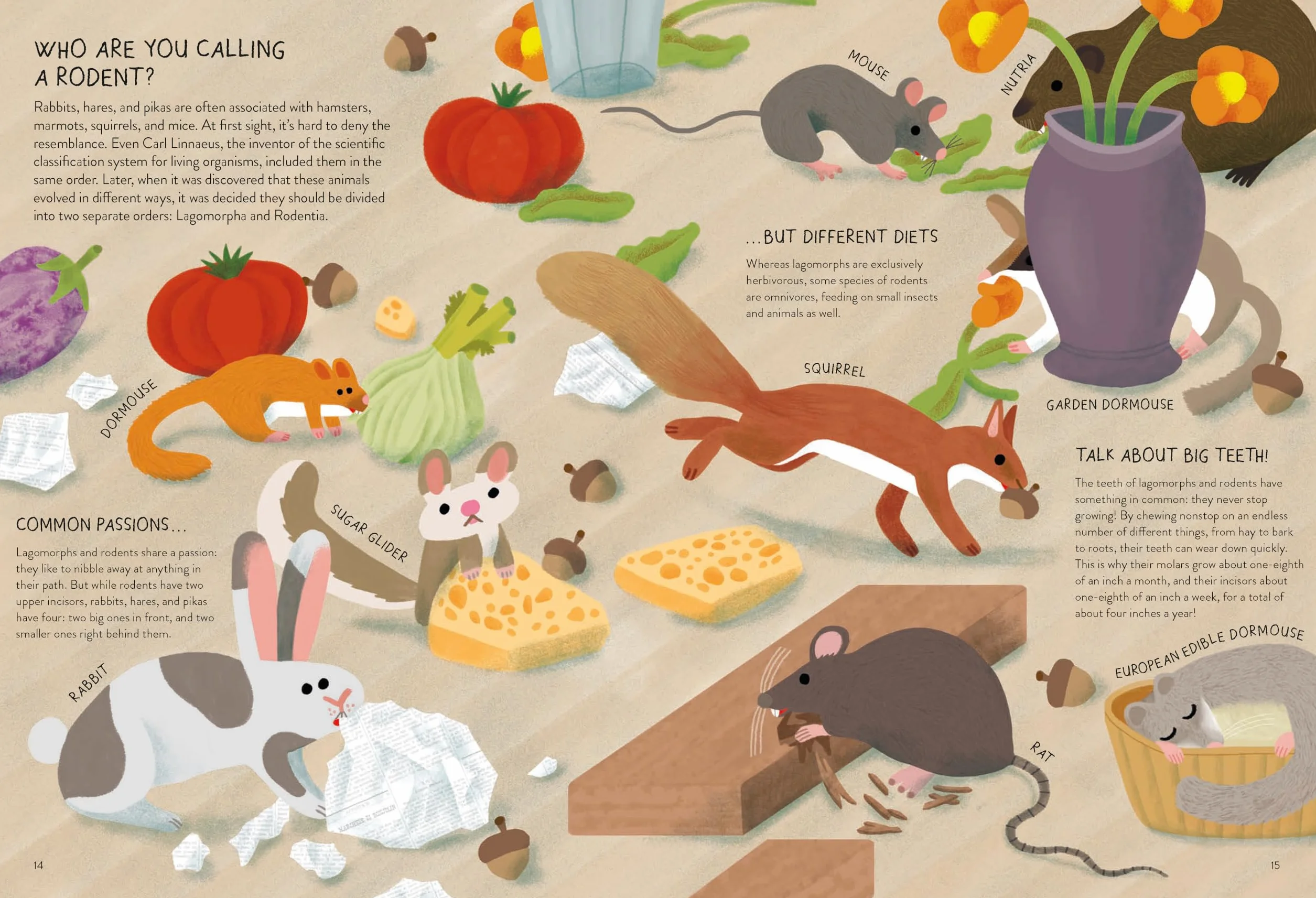 Rabbitology: The Ultimate Encyclopedia