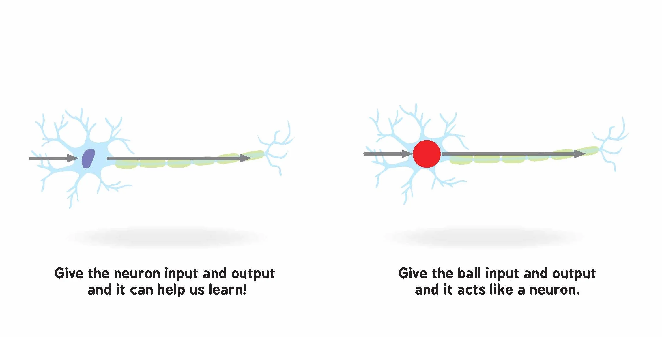 Neural Networks for Babies (Baby University)