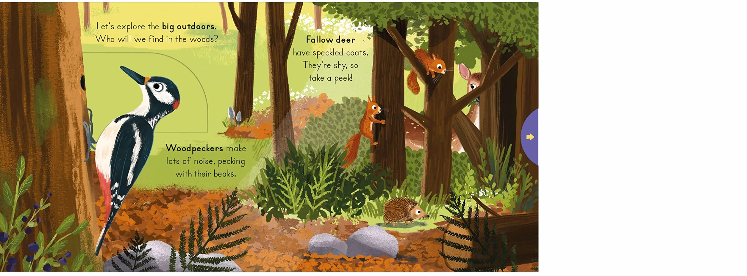 National Trust Big Outdoors for Little Explorers Woods