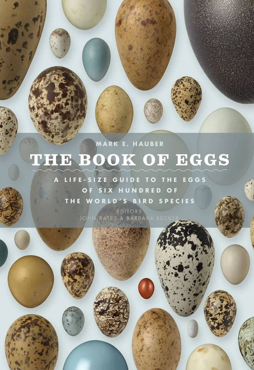 The Book of Eggs: A Lifesize Guide to the Eggs of Six Hundred of the World's Bird Species