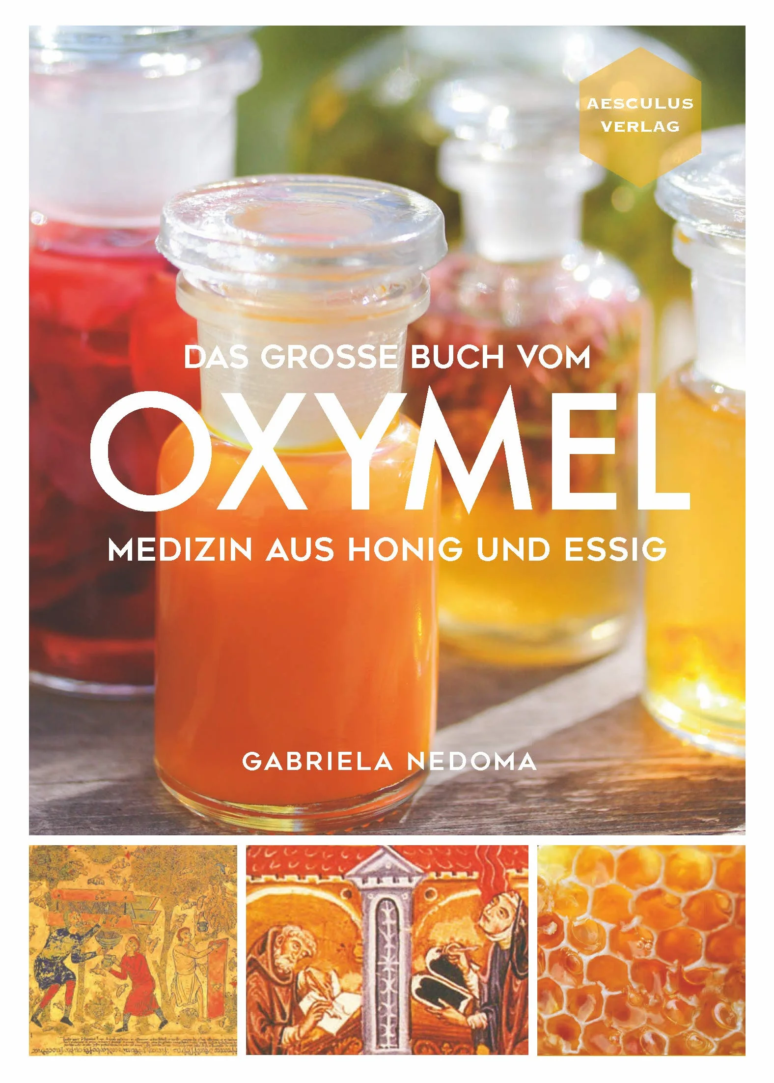 Das große Buch vom OXYMEL: Medizin aus Honig und Essig