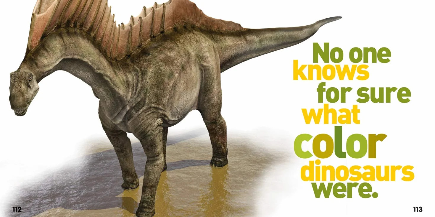 Weird But True! 1: 350 Outrageous Facts: 2