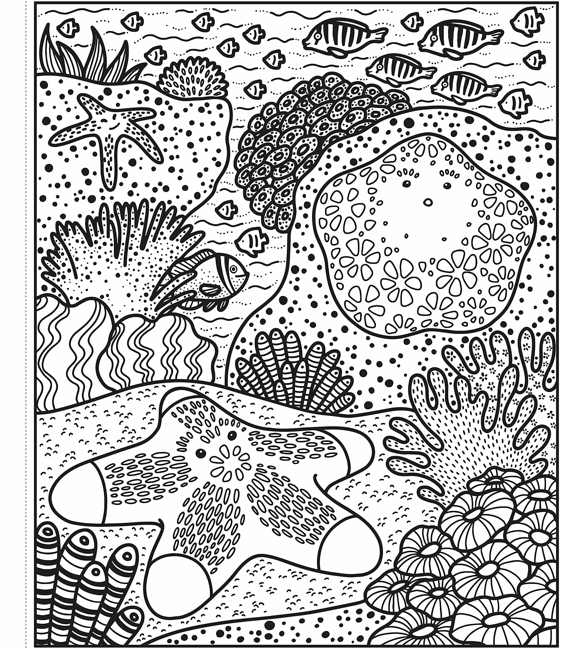 Magic Painting Coral Reef Book