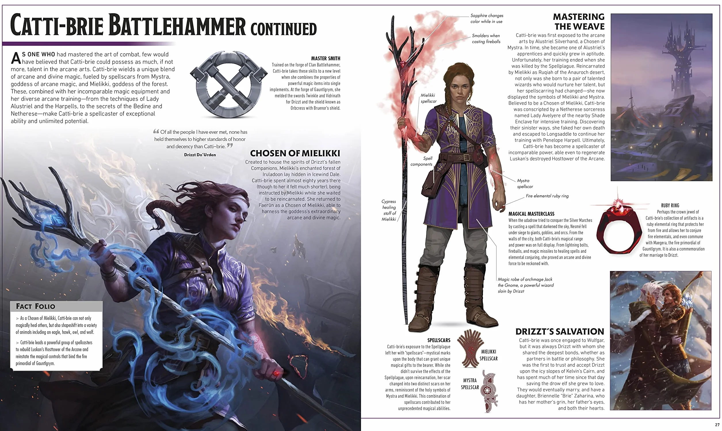 Dungeons & Dragons The Legend of Drizzt Visual Dictionary