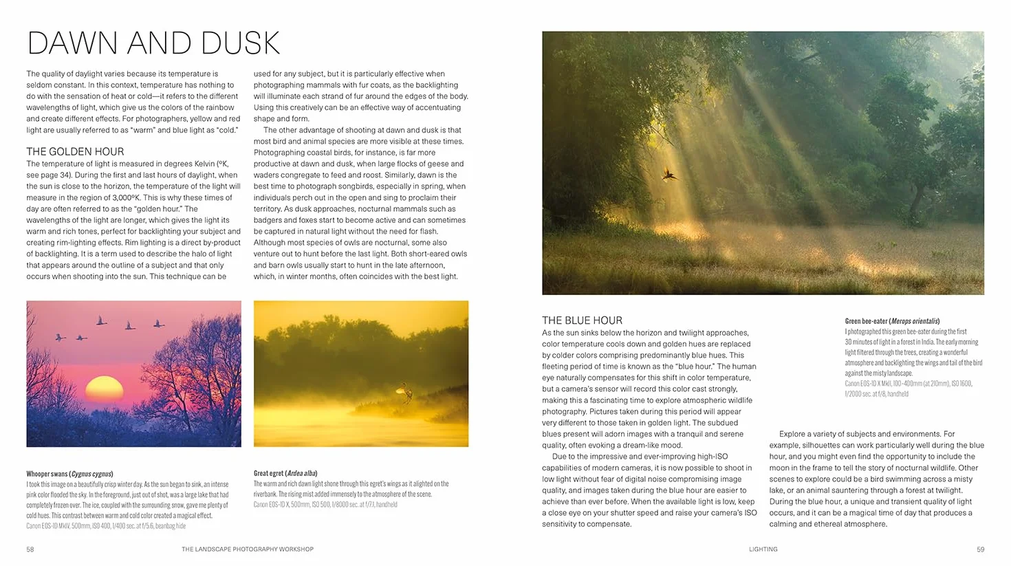 The Wildlife Photography Workshop