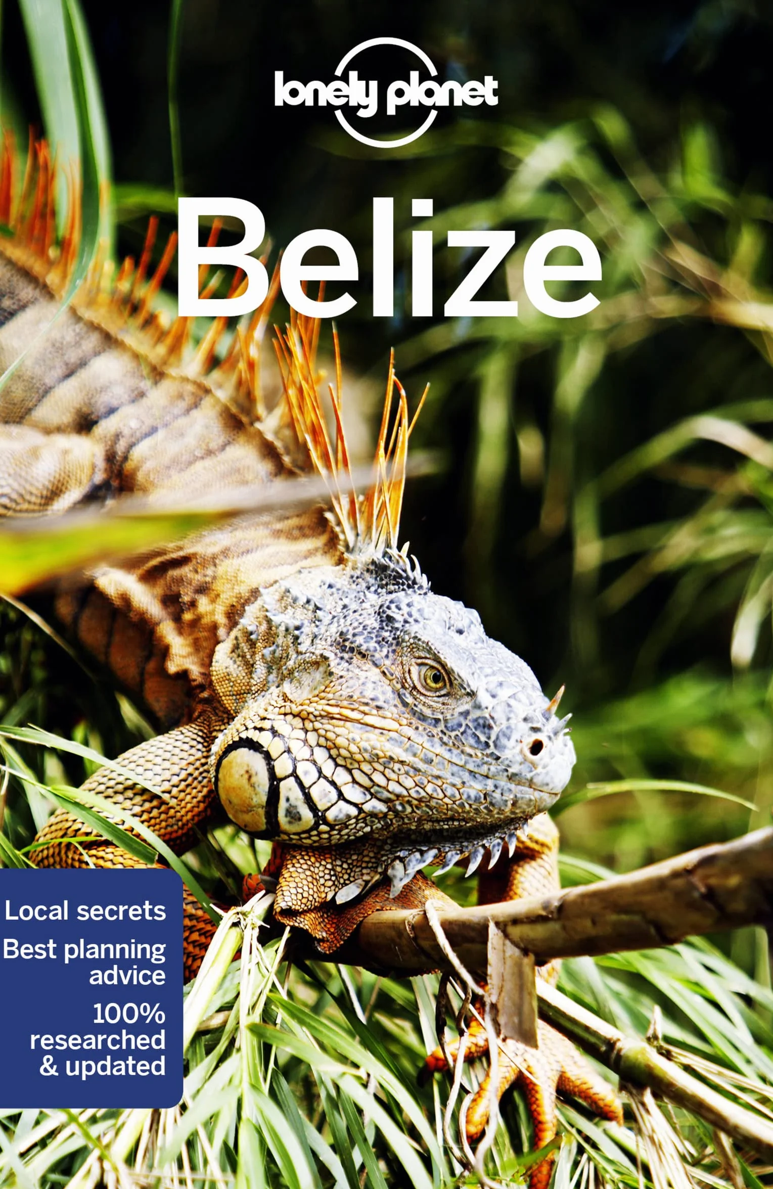 Belize 8ed -anglais-: Perfect for exploring top sights and taking roads less travelled