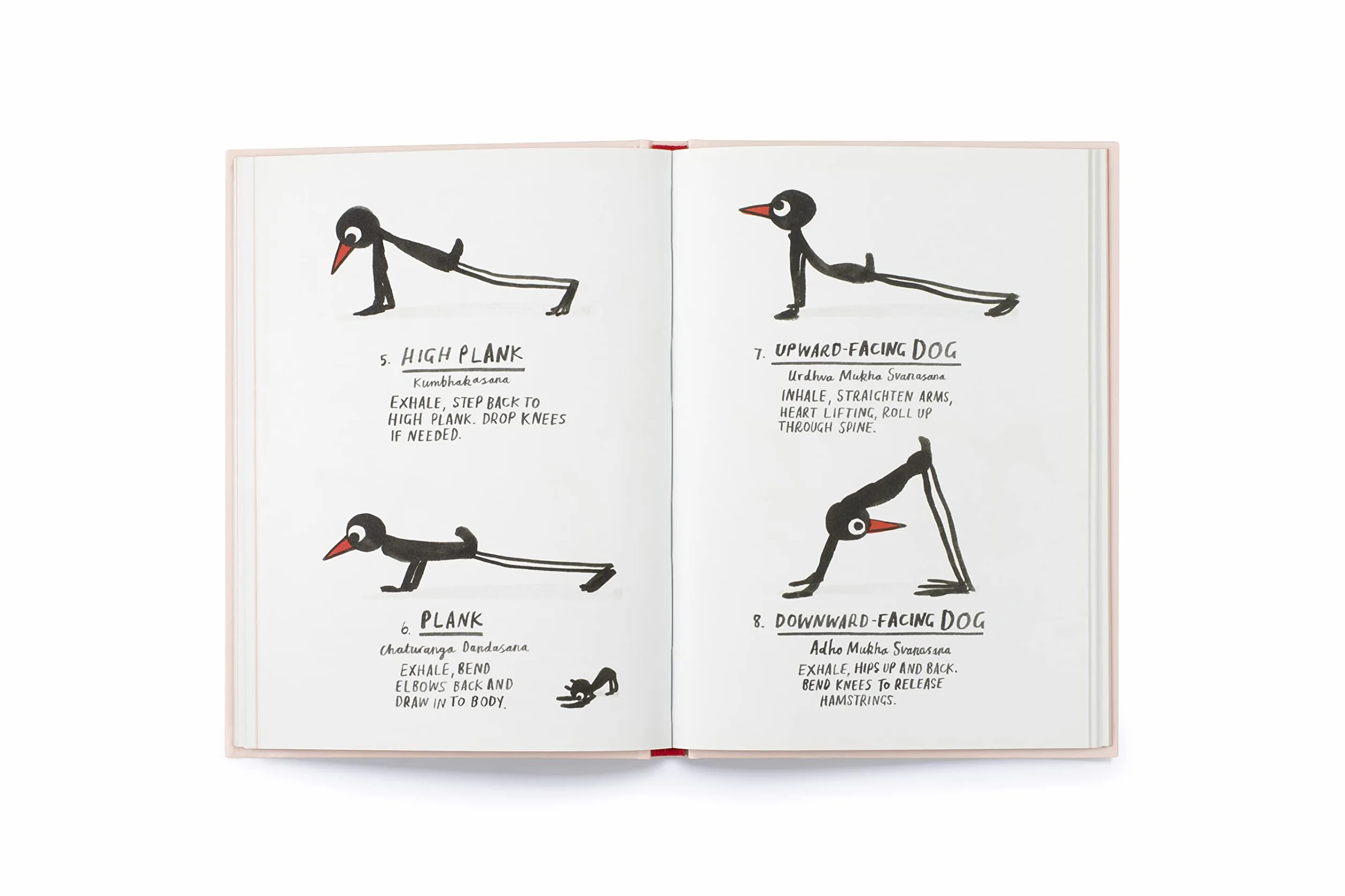 Yoga for Stiff Birds /anglais: An Illustrated Approach to Positions, Poses, and Meditations