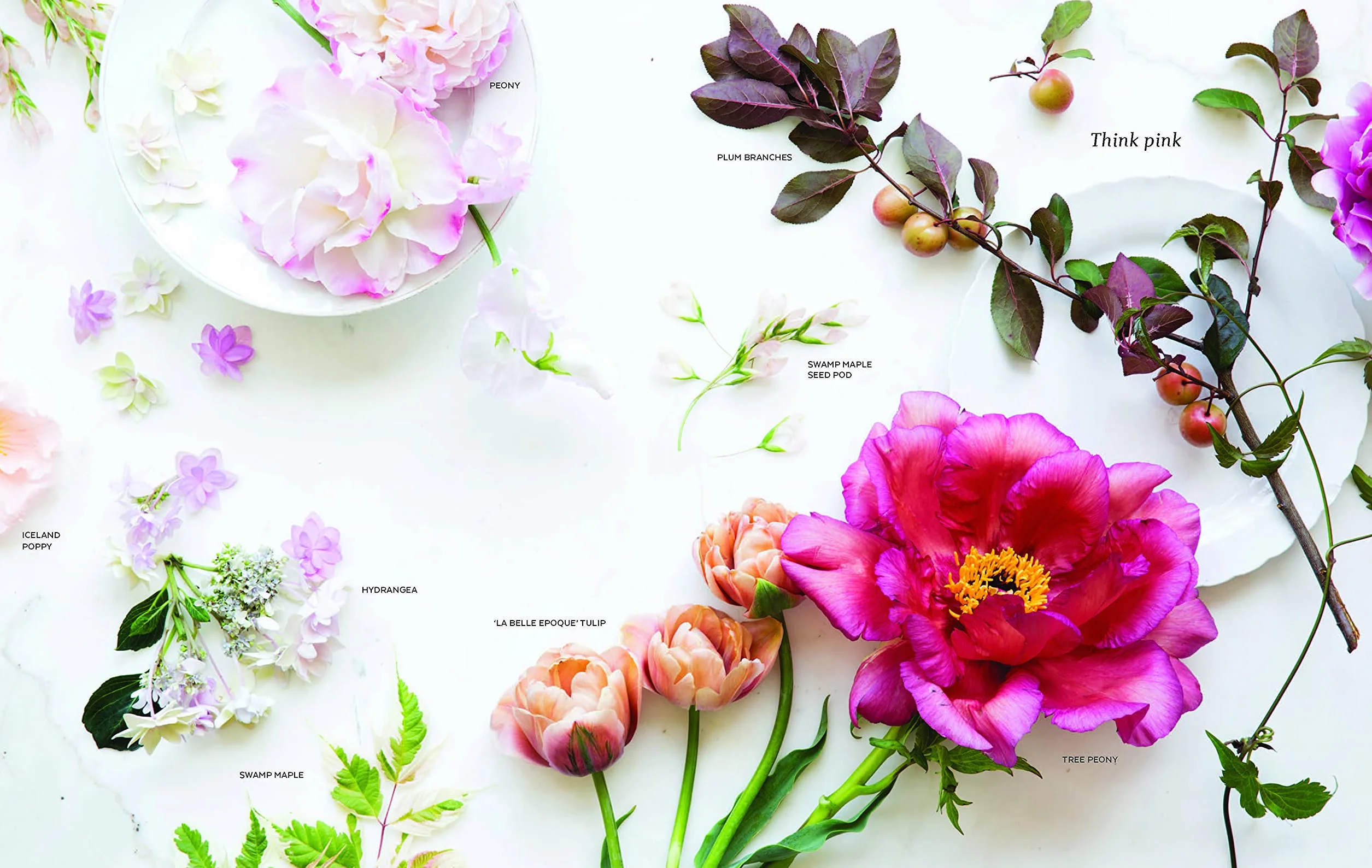 The Flower Workshop: Lessons in Arranging Blooms, Branches, Fruits, and Foraged Materials