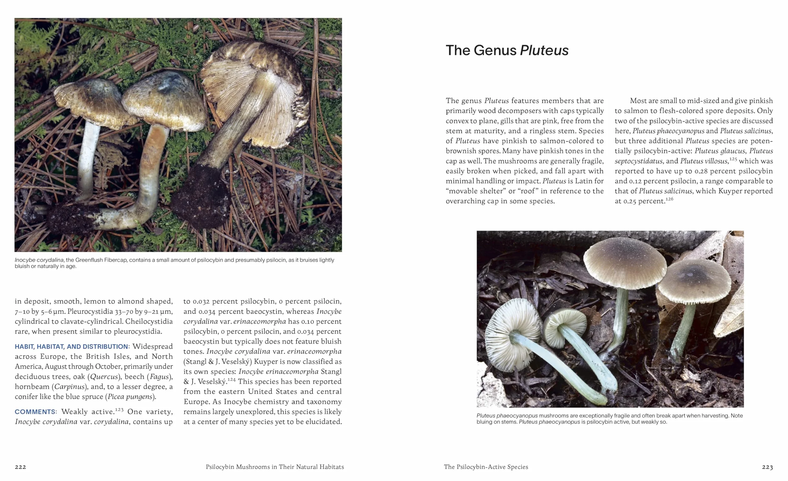 Psilocybin Mushrooms in Their Natural Habitats: A Guide to the History, Identification, and Use of Psychoactive Fungi
