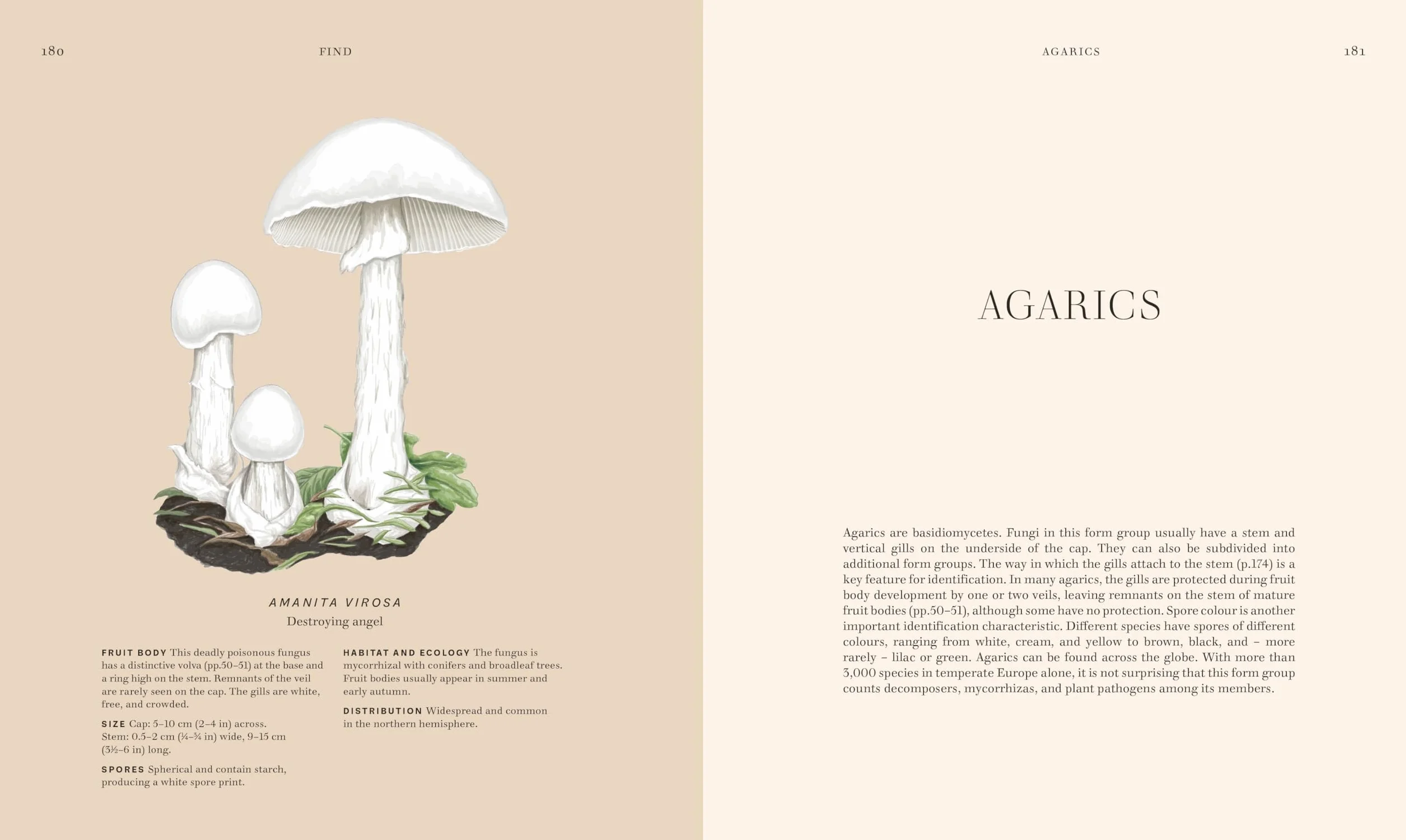 Fungi: Discover the Science and Secrets Behind the World of Mushrooms
