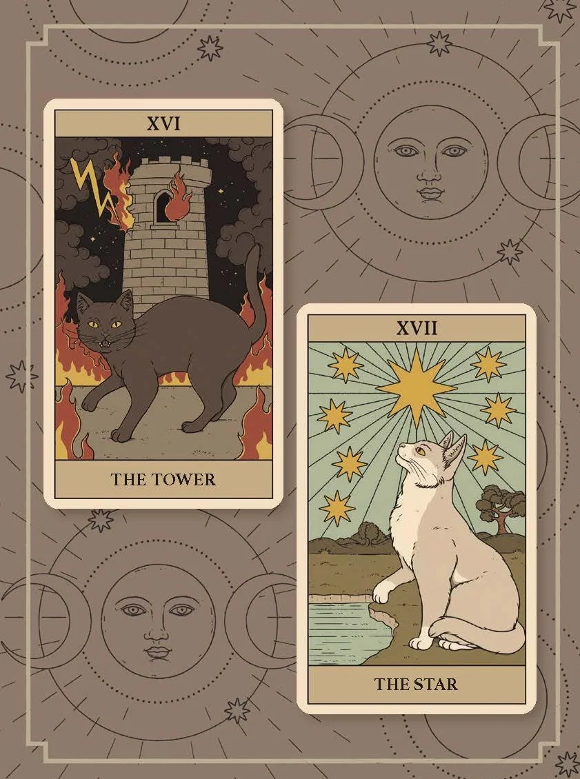 Cats Rule the Earth Tarot: 78-Card Deck and Guidebook for the Feline-Obsessed