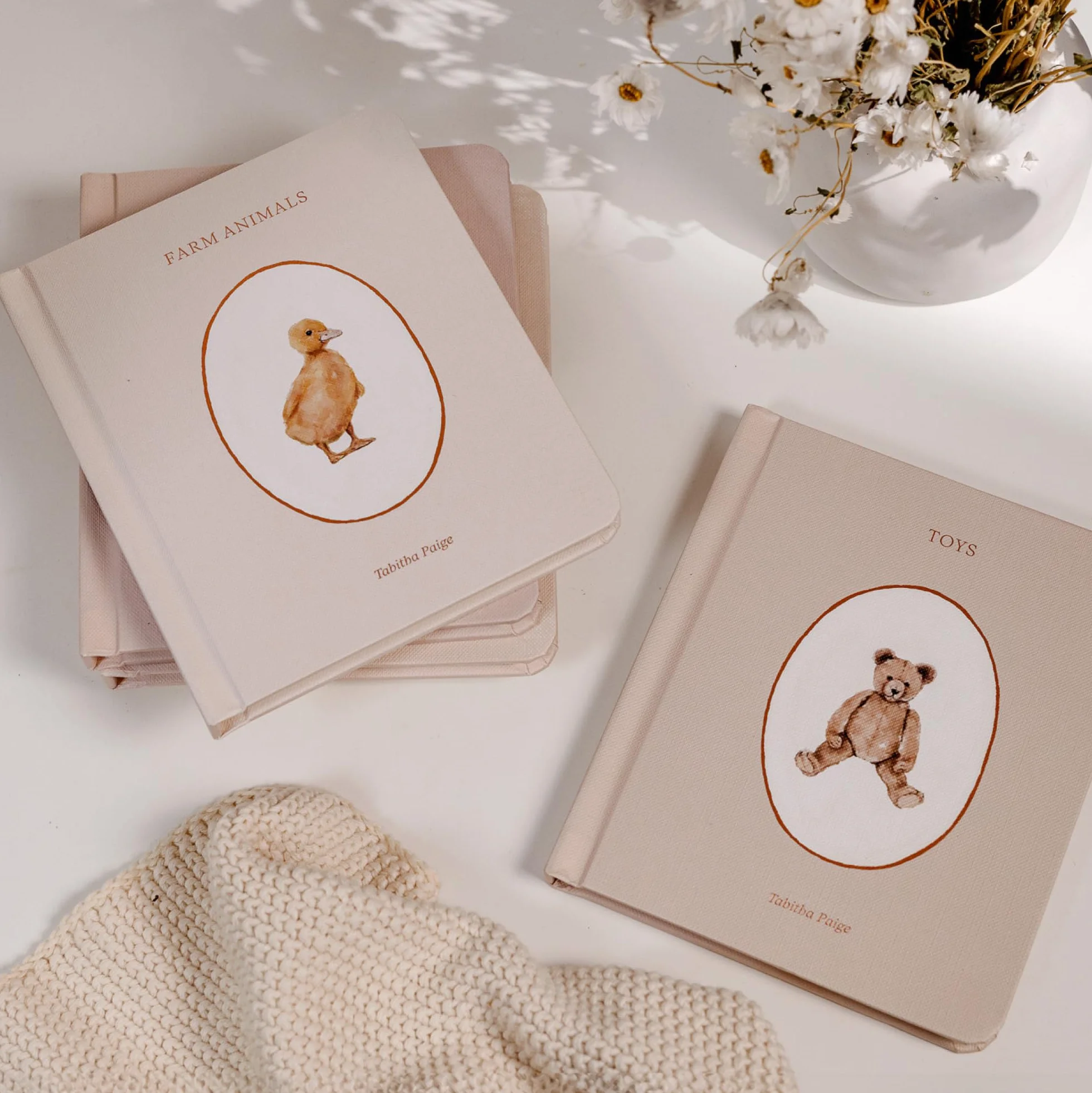 Our Little Library: A Foundational Language Vocabulary Board Book Set for Babies: 5