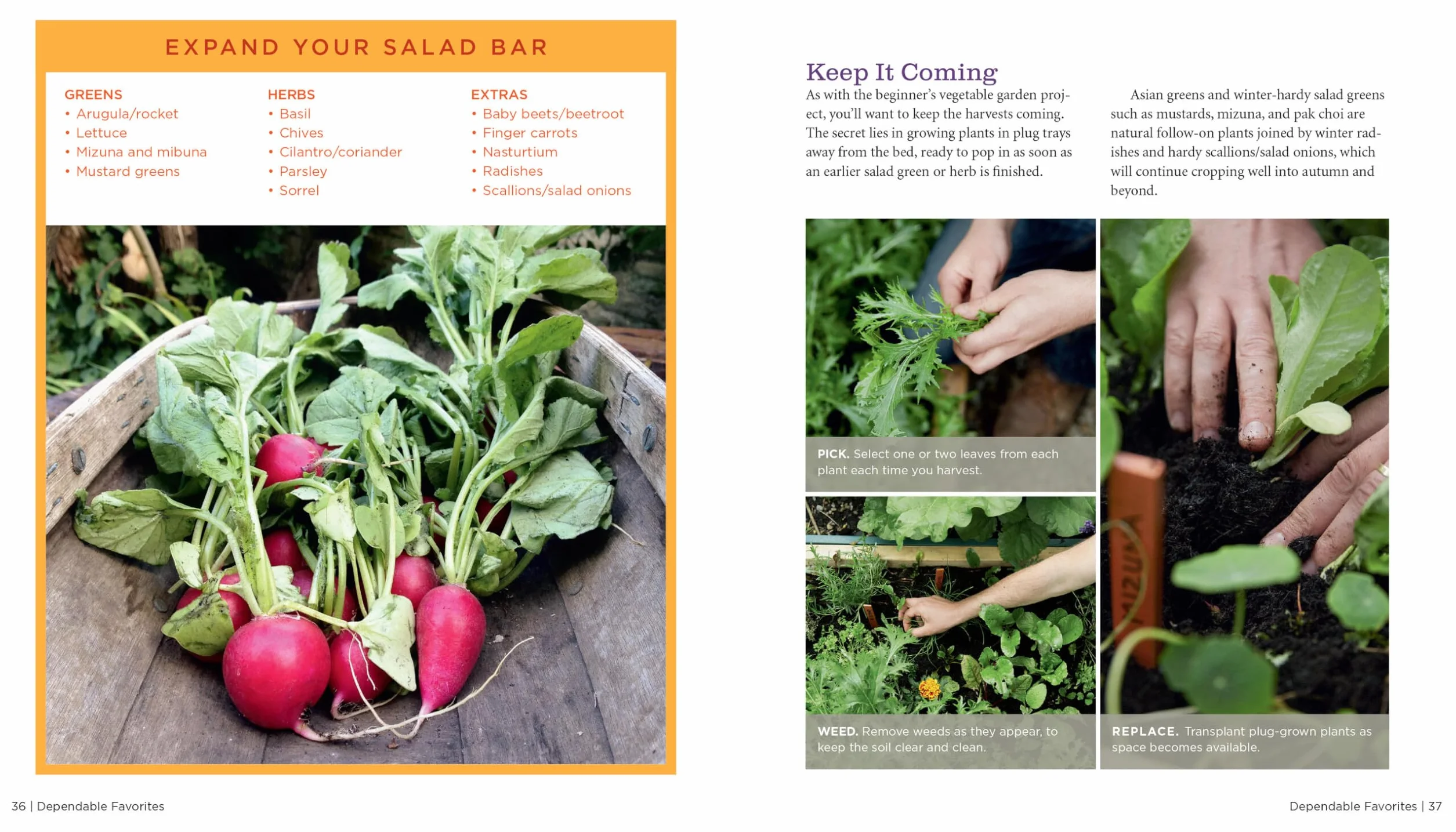 GrowVeg: The Beginner's Guide to Easy Vegetable Gardening