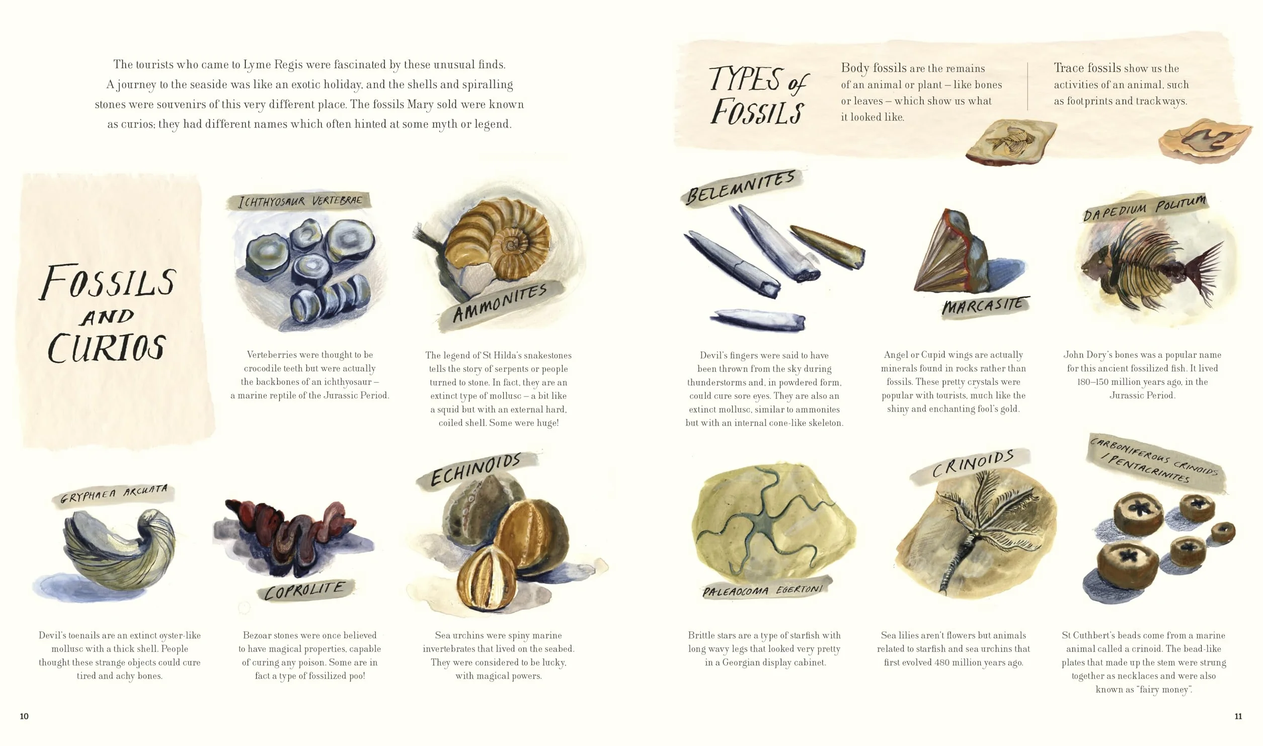 The Fossil Hunter: How Mary Anning unearthed the truth about the dinosaurs