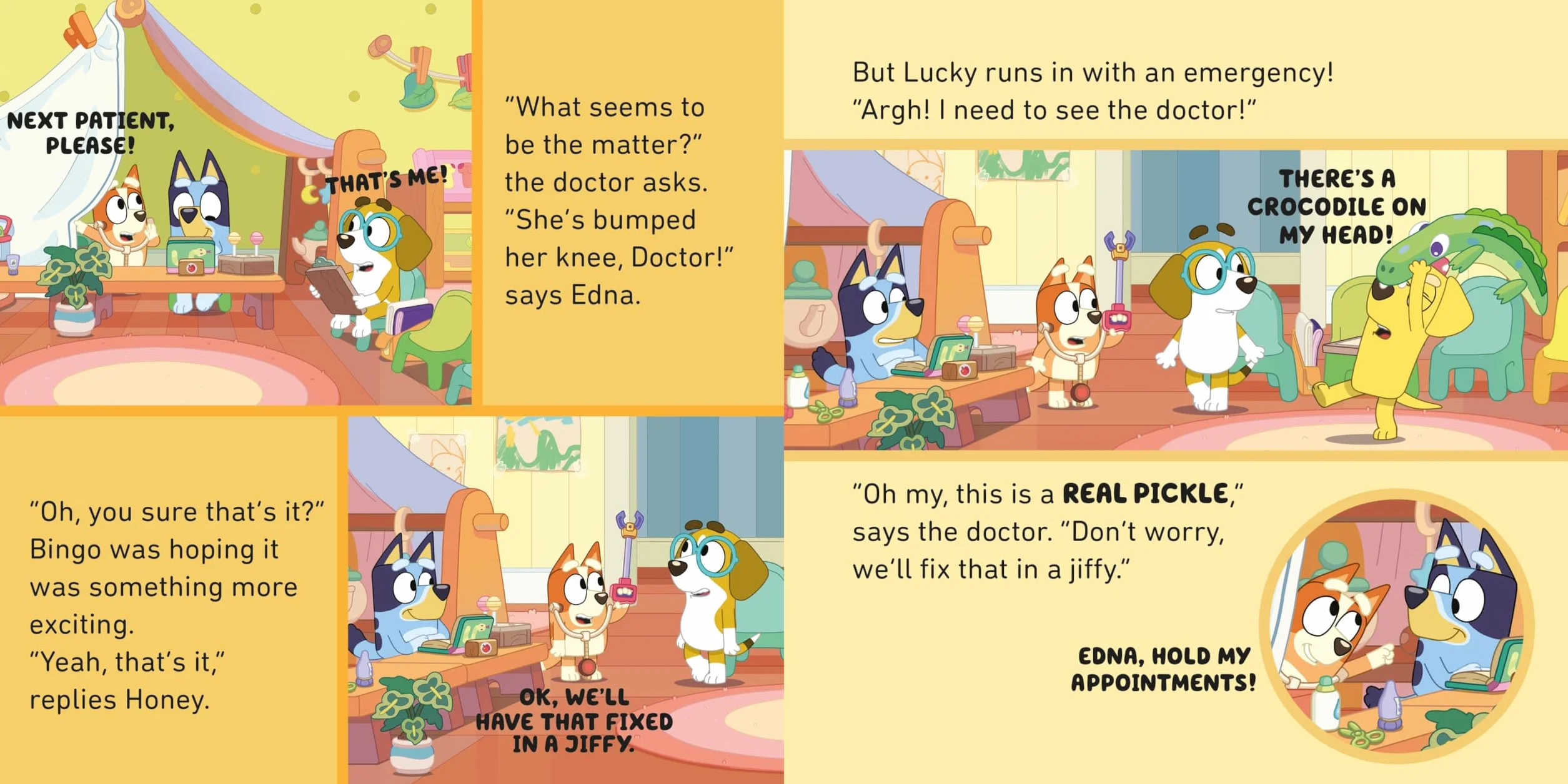 Bluey The Doctor Board Book for Young Readers
