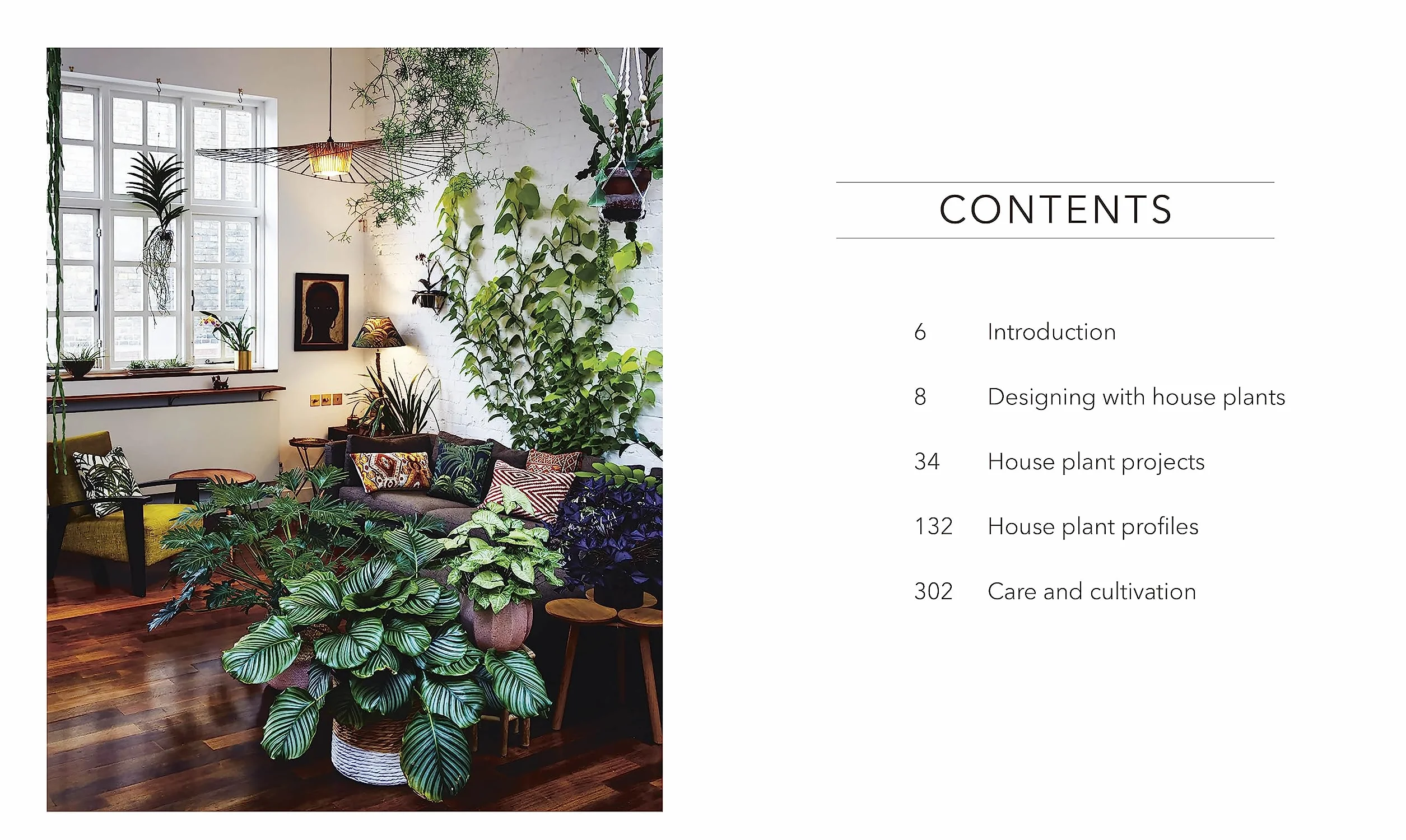 RHS House Plant: Practical Advice for All House Plants, Cacti and Succulents