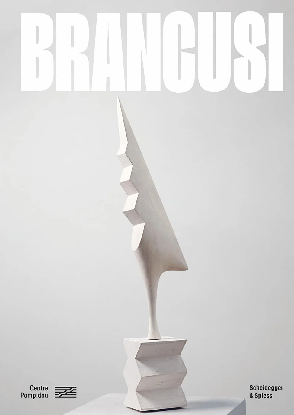 Brancusi /anglais: (Published in conjunction with a major exhibition at the Centre Pompidou in Paris)