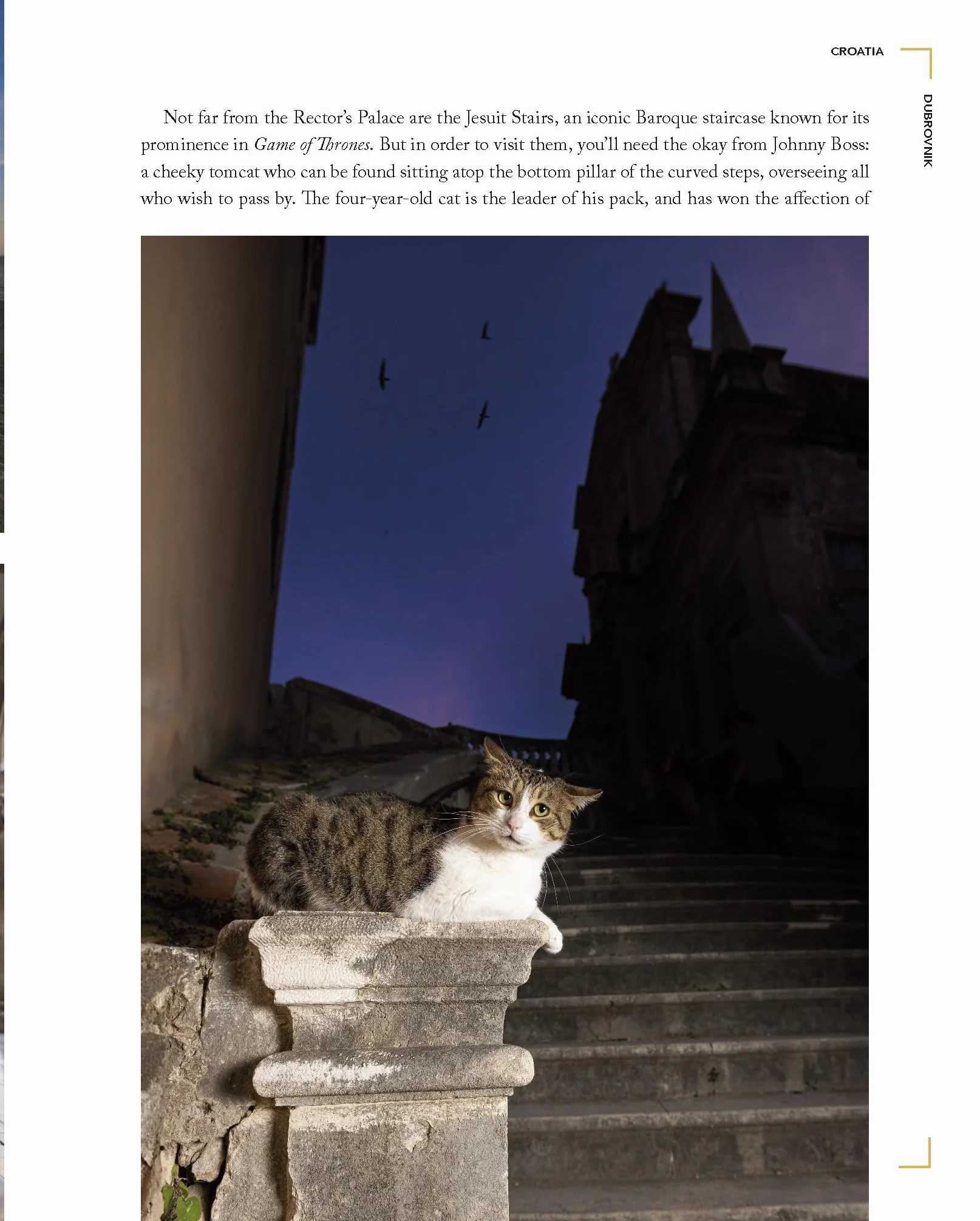 Cats of the World: TK