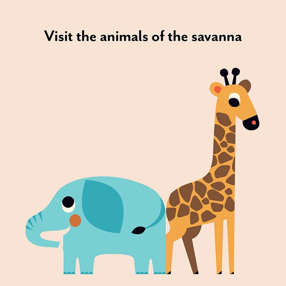 Bookscape Board Books: Wild Animals