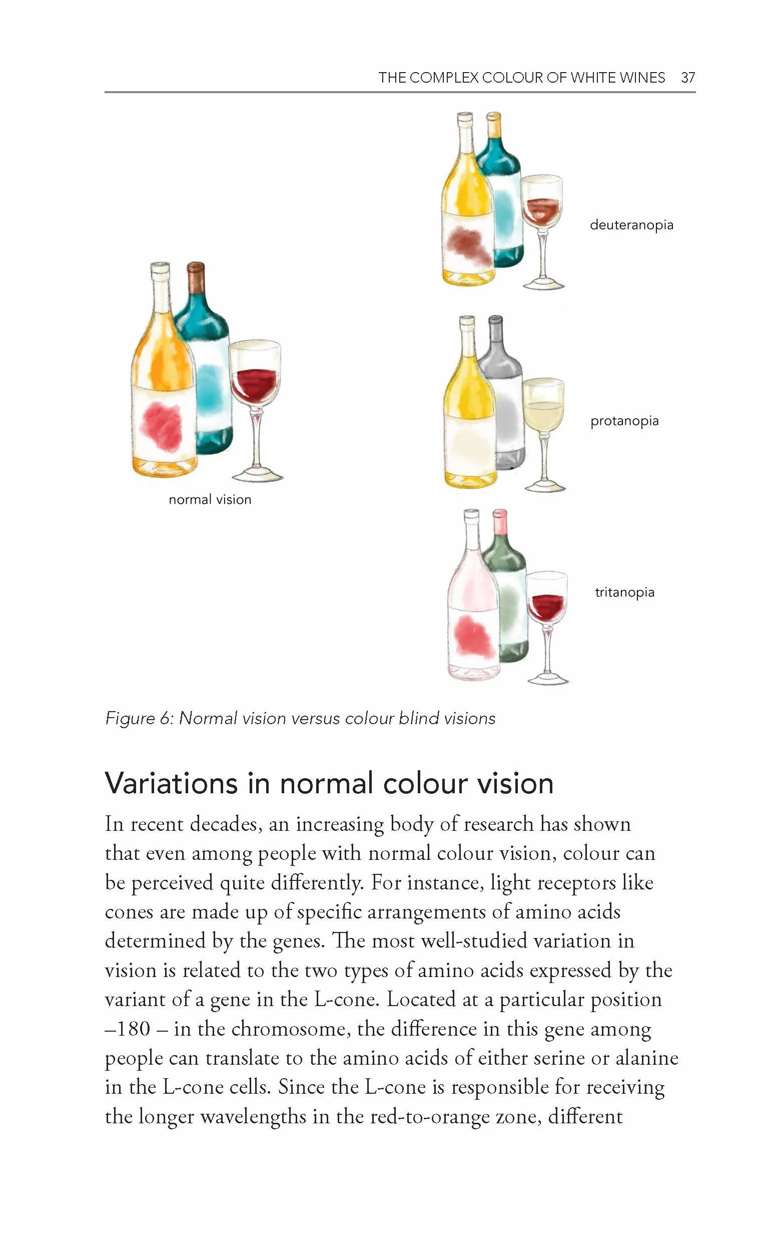 Behind the Glass: The Chemical and Sensorial Terroir of Wine Tasting