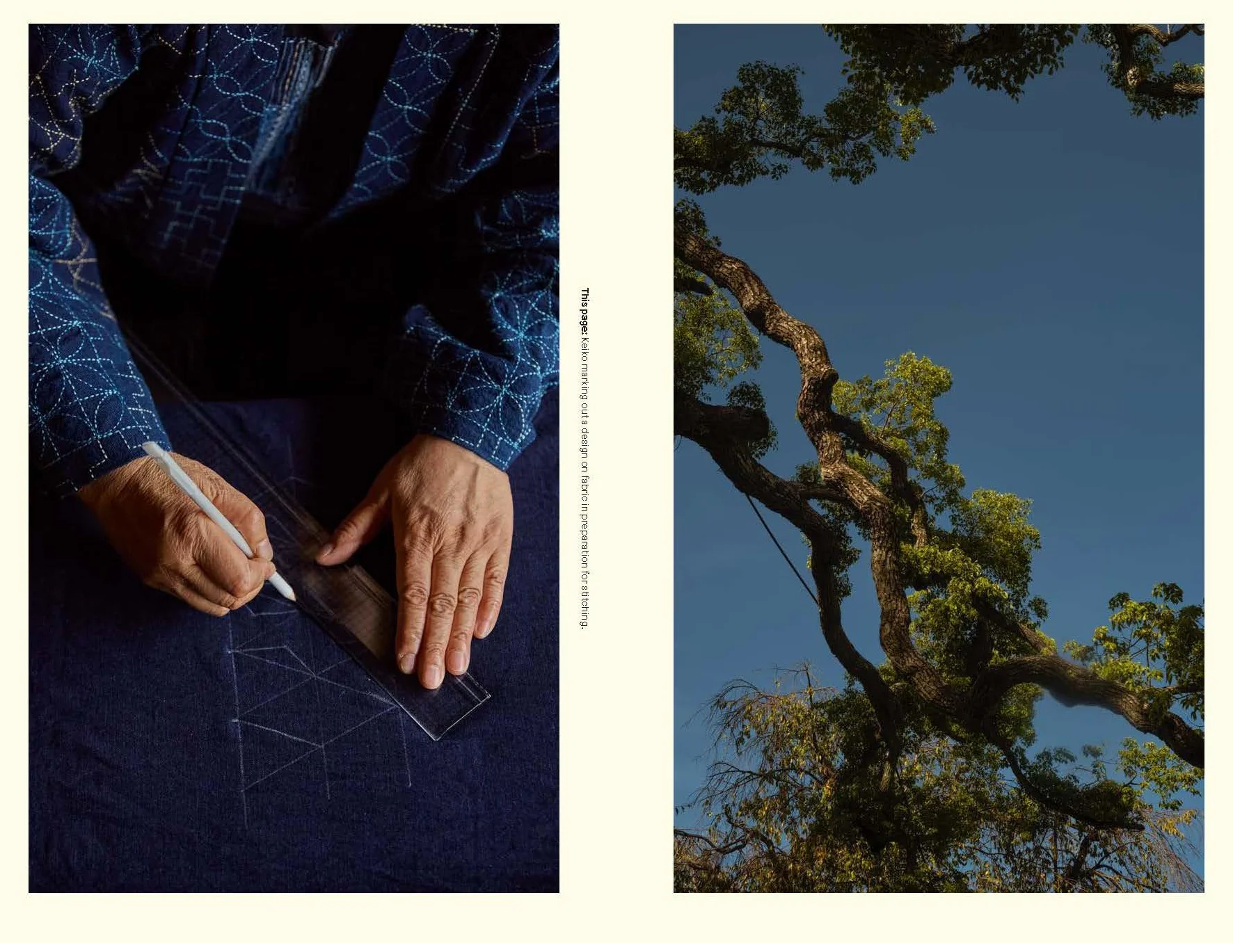 Sashiko: The Untold Story: The History, Technique and Philosophy Behind Japanese Hand-Stitching