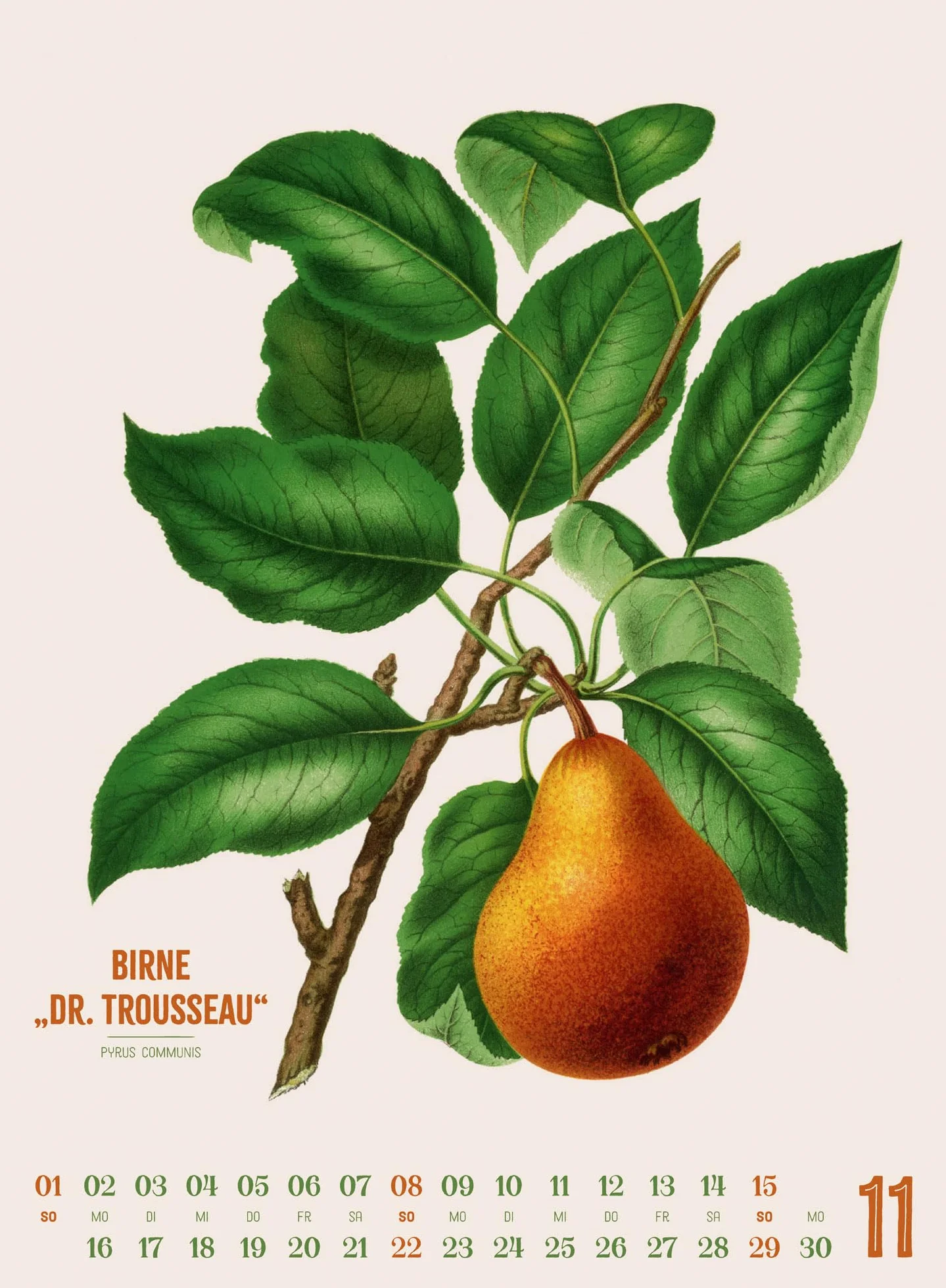 Obstgarten Kalender 2026 | Apfel, Birne, Pflaume & Co.: Stilvoller Retro-Küchen-Kalender im Hochformat (33x45 cm) | Gedruckt auf Apfelpapier